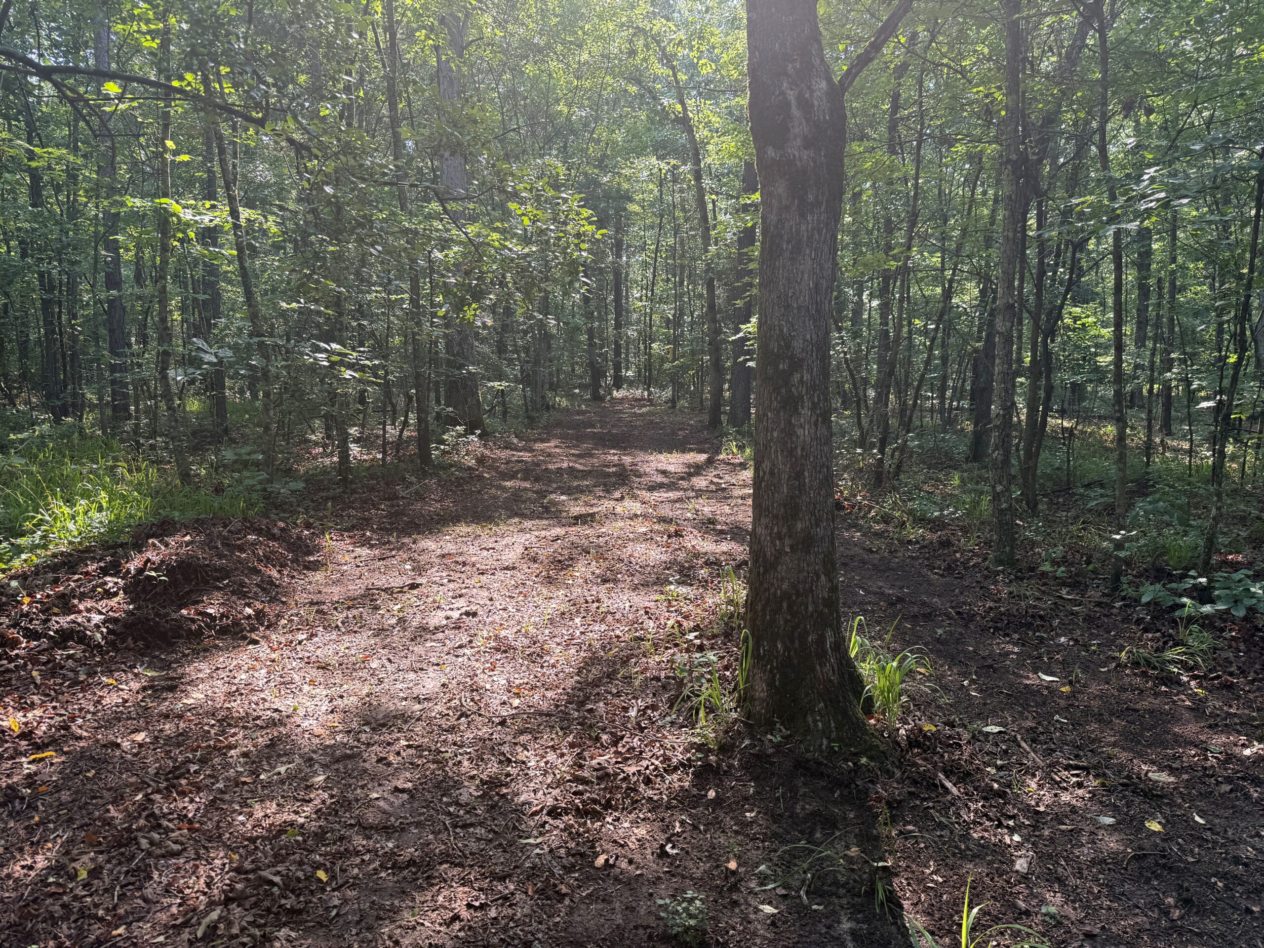UNRESTRICTED PRIVATE LAND FOR SALE WITH DEER & TURKEY HUNTING