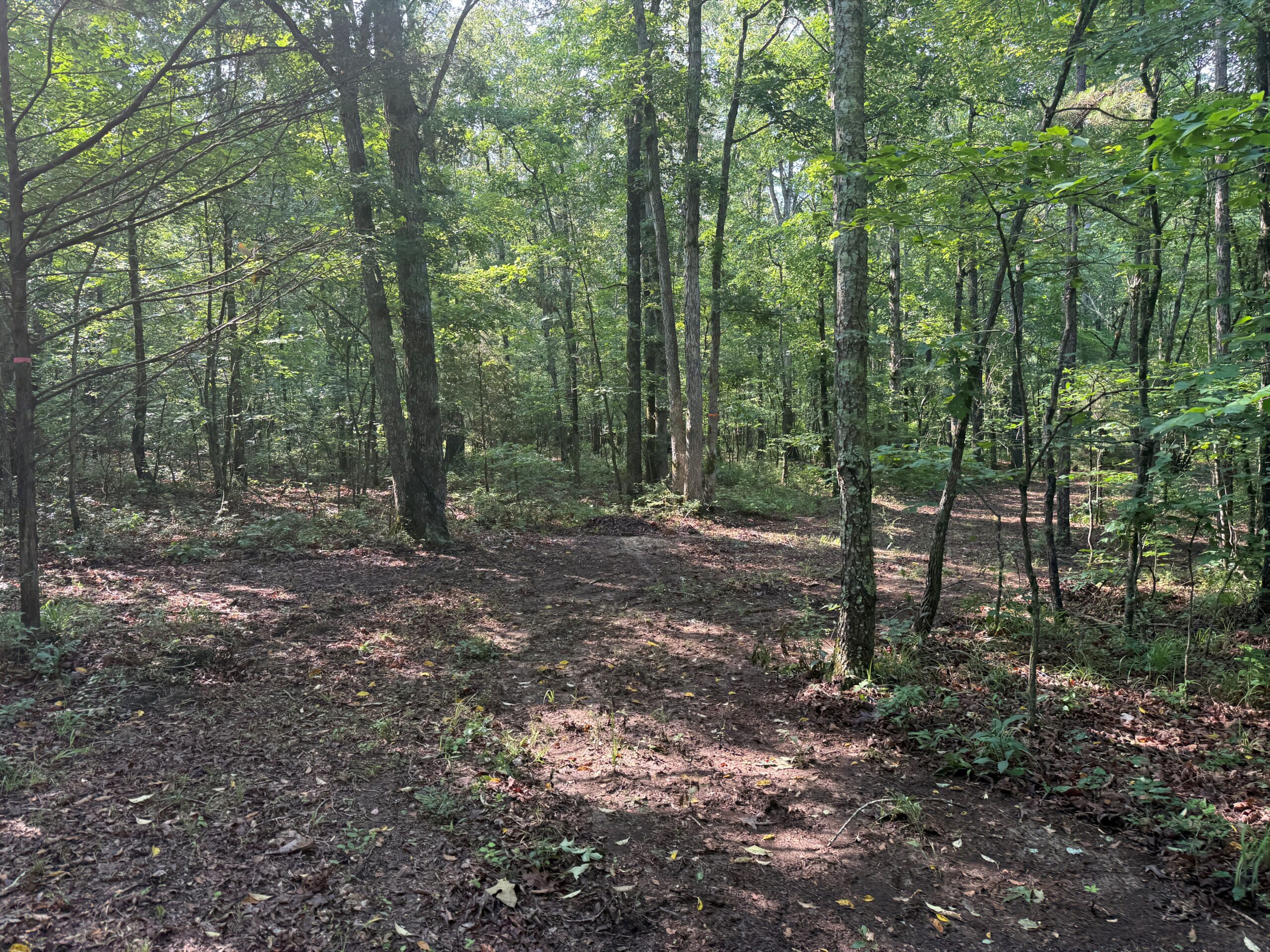 UNRESTRICTED PRIVATE LAND FOR SALE WITH DEER & TURKEY HUNTING