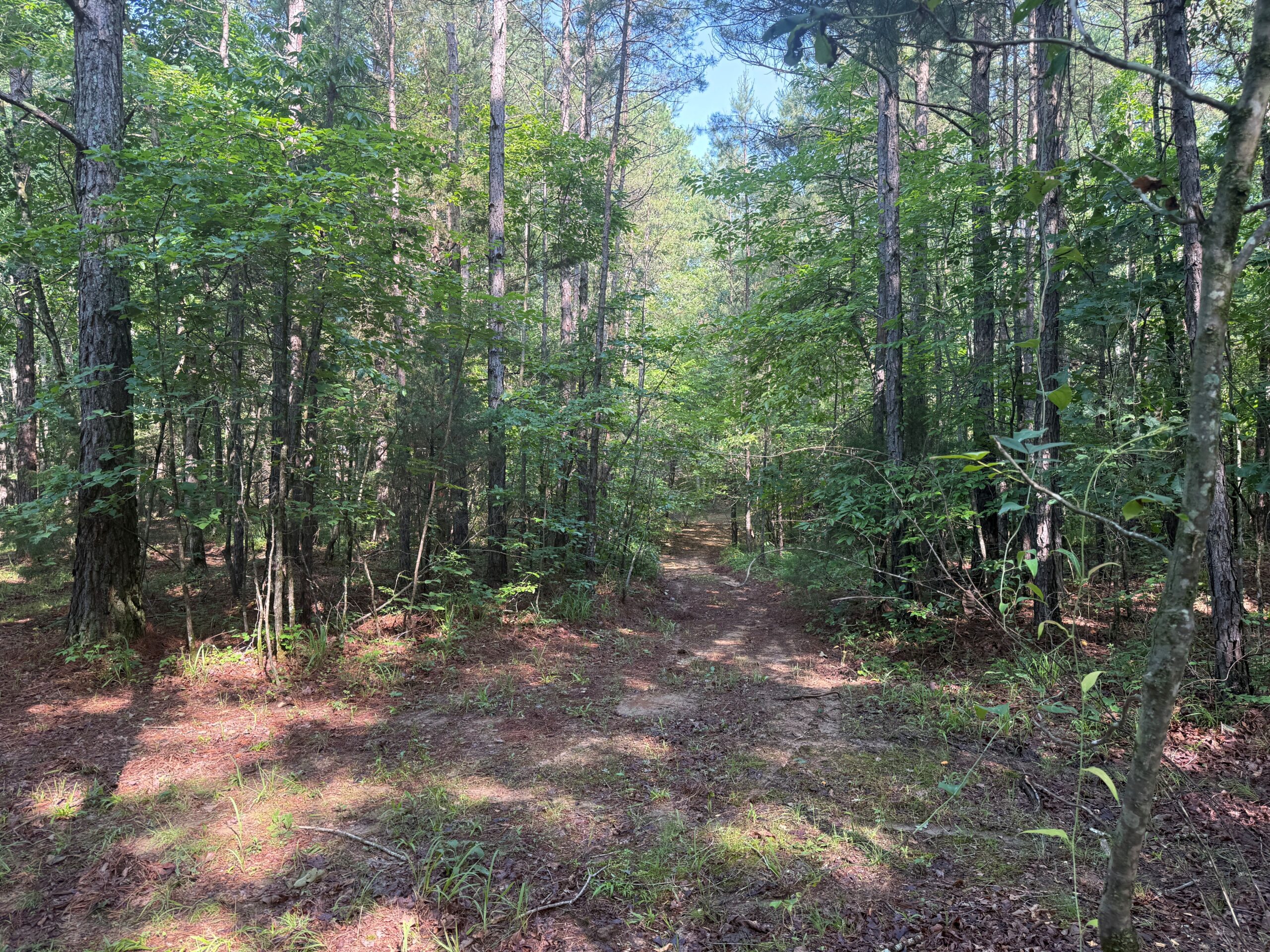 UNRESTRICTED PRIVATE LAND FOR SALE WITH DEER & TURKEY HUNTING