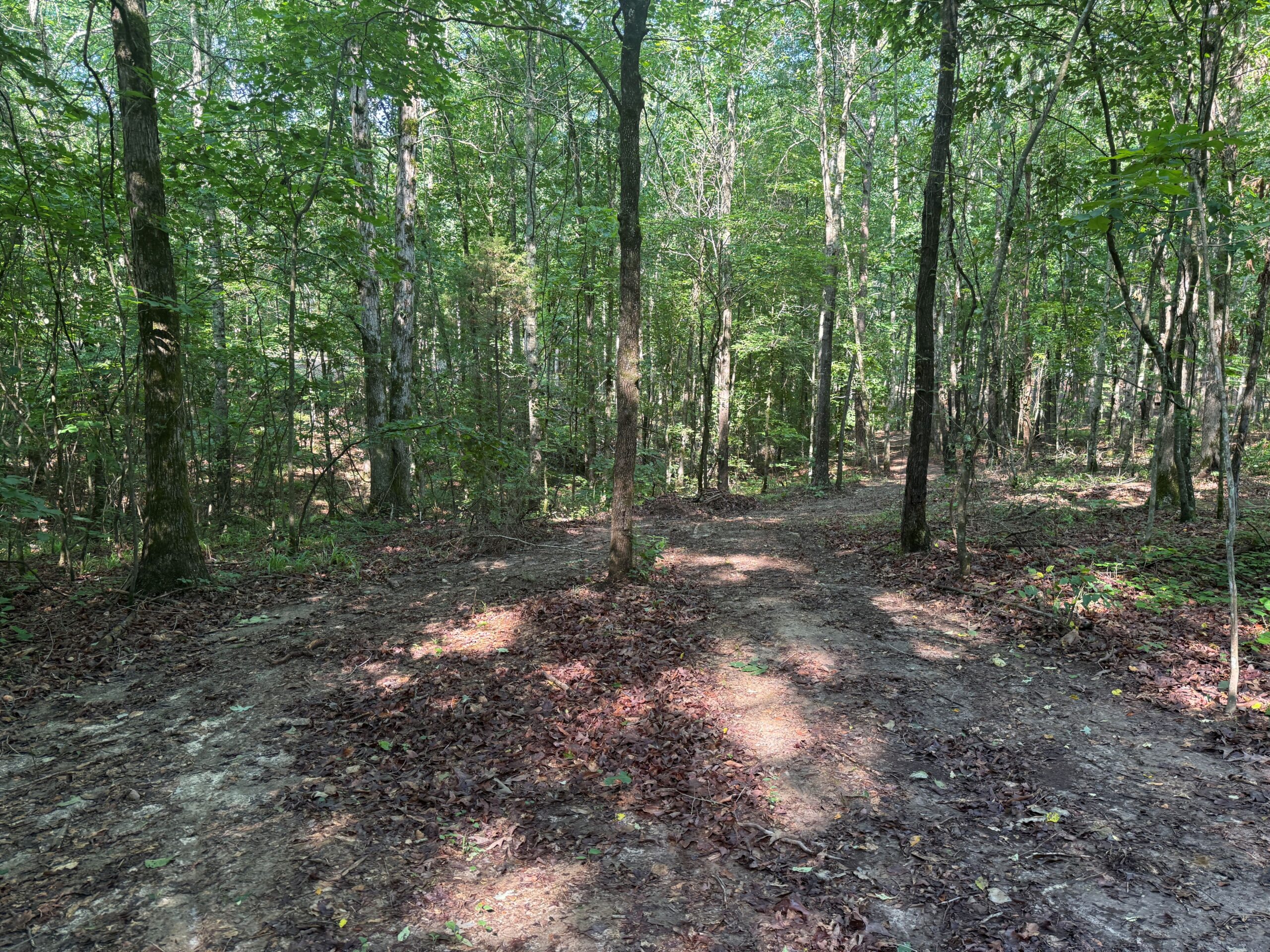 UNRESTRICTED PRIVATE LAND FOR SALE WITH DEER & TURKEY HUNTING