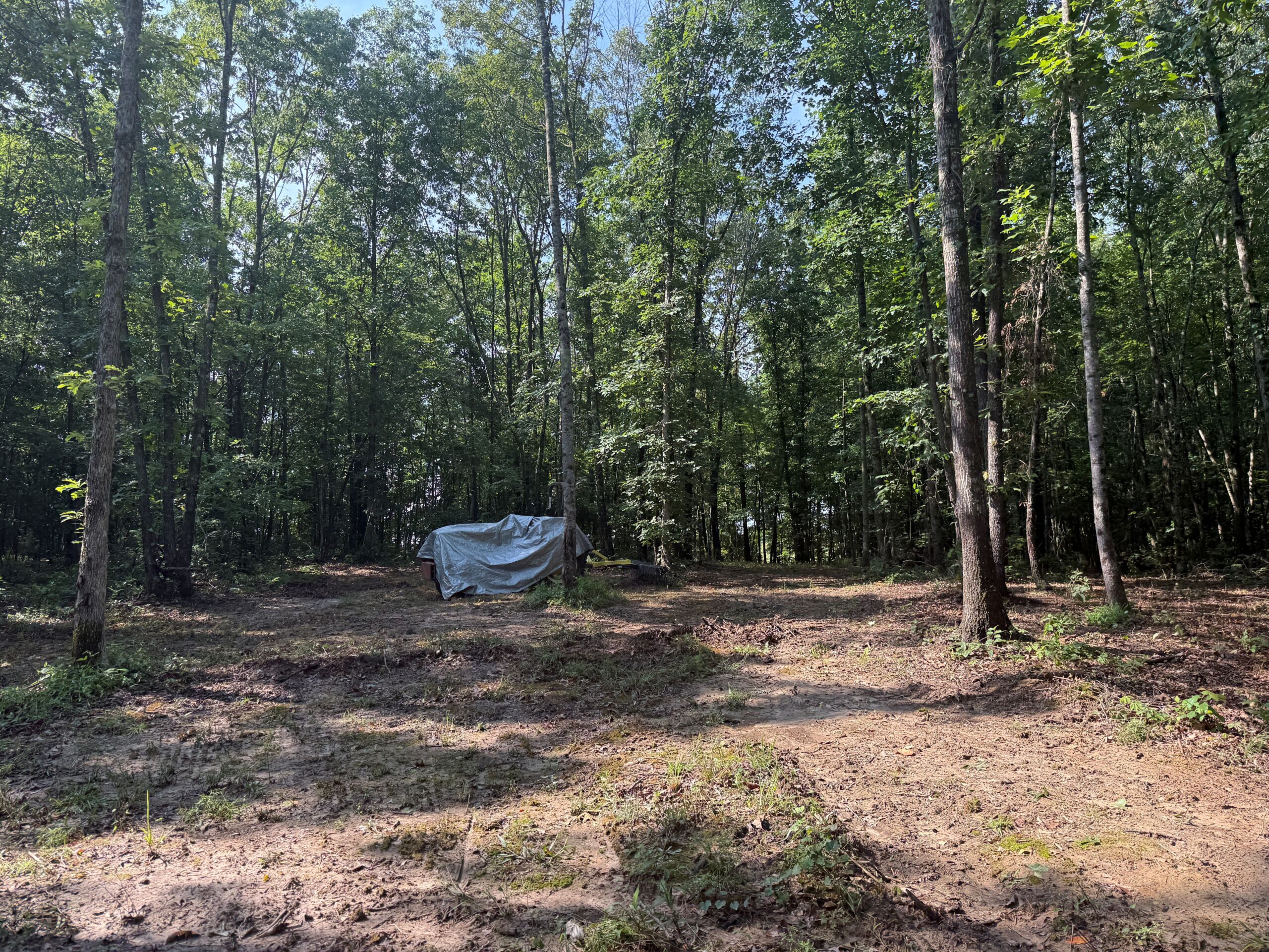 UNRESTRICTED PRIVATE LAND FOR SALE WITH DEER & TURKEY HUNTING