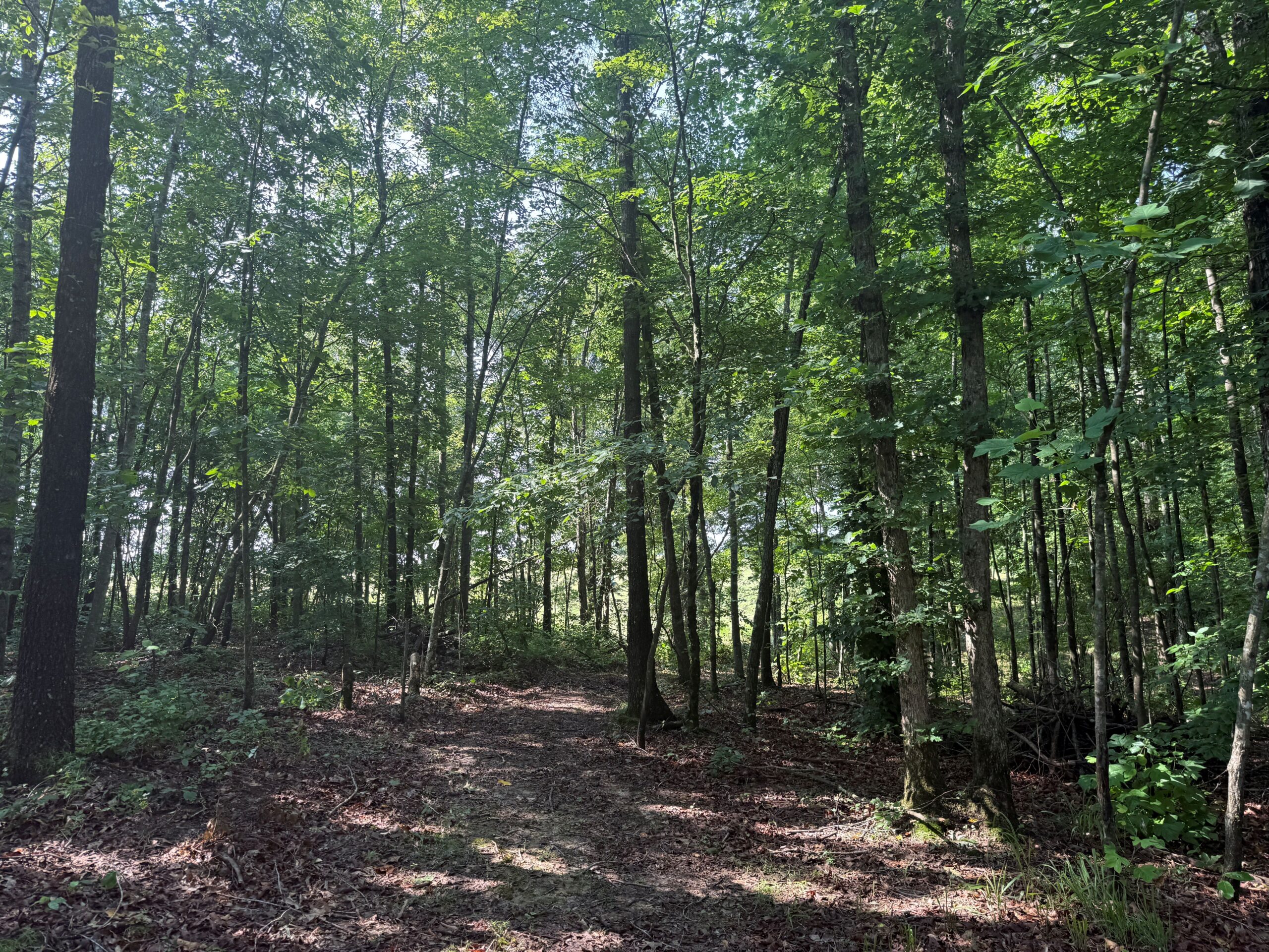 UNRESTRICTED PRIVATE LAND FOR SALE WITH DEER & TURKEY HUNTING