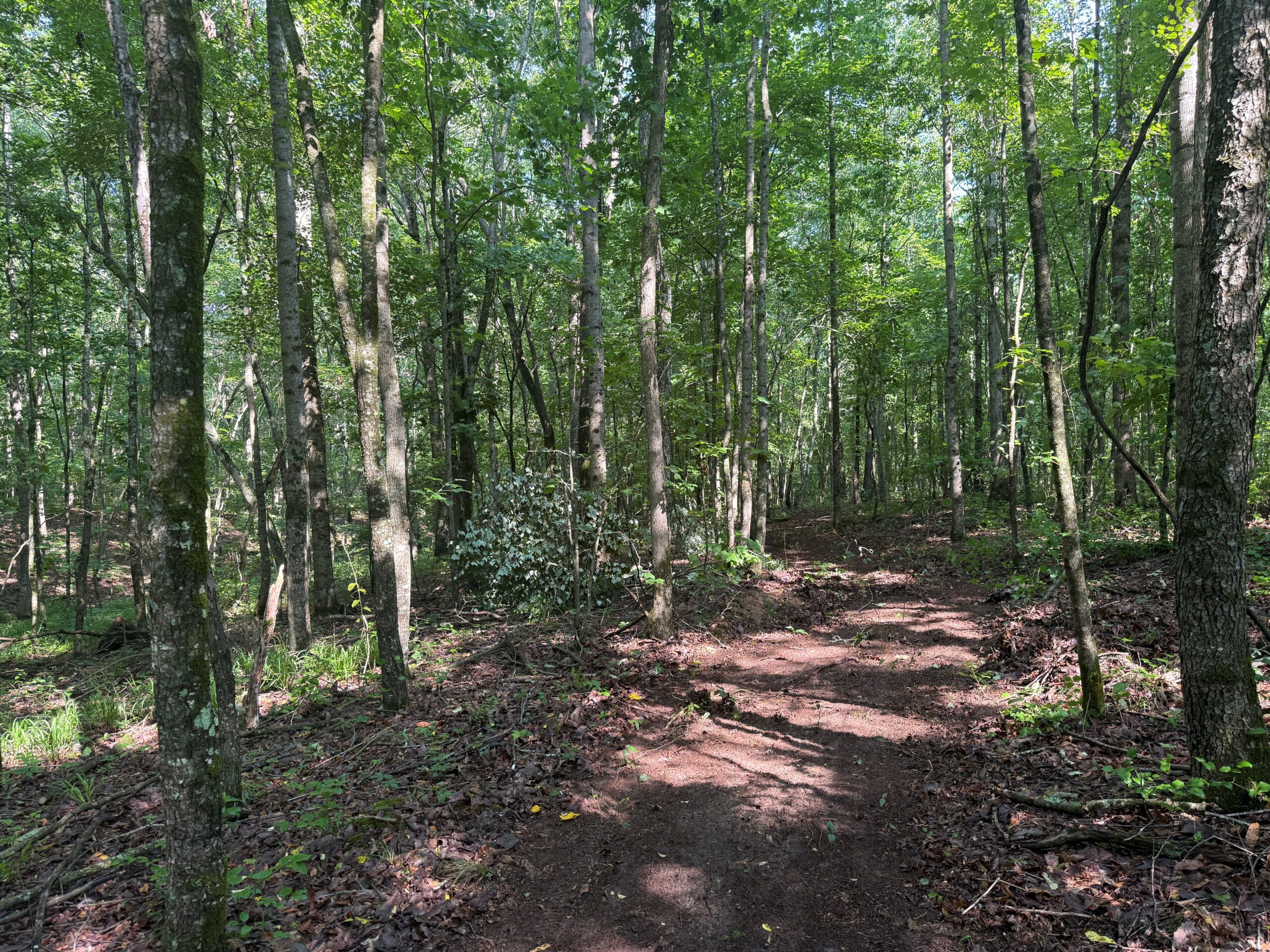 UNRESTRICTED PRIVATE LAND FOR SALE WITH DEER & TURKEY HUNTING