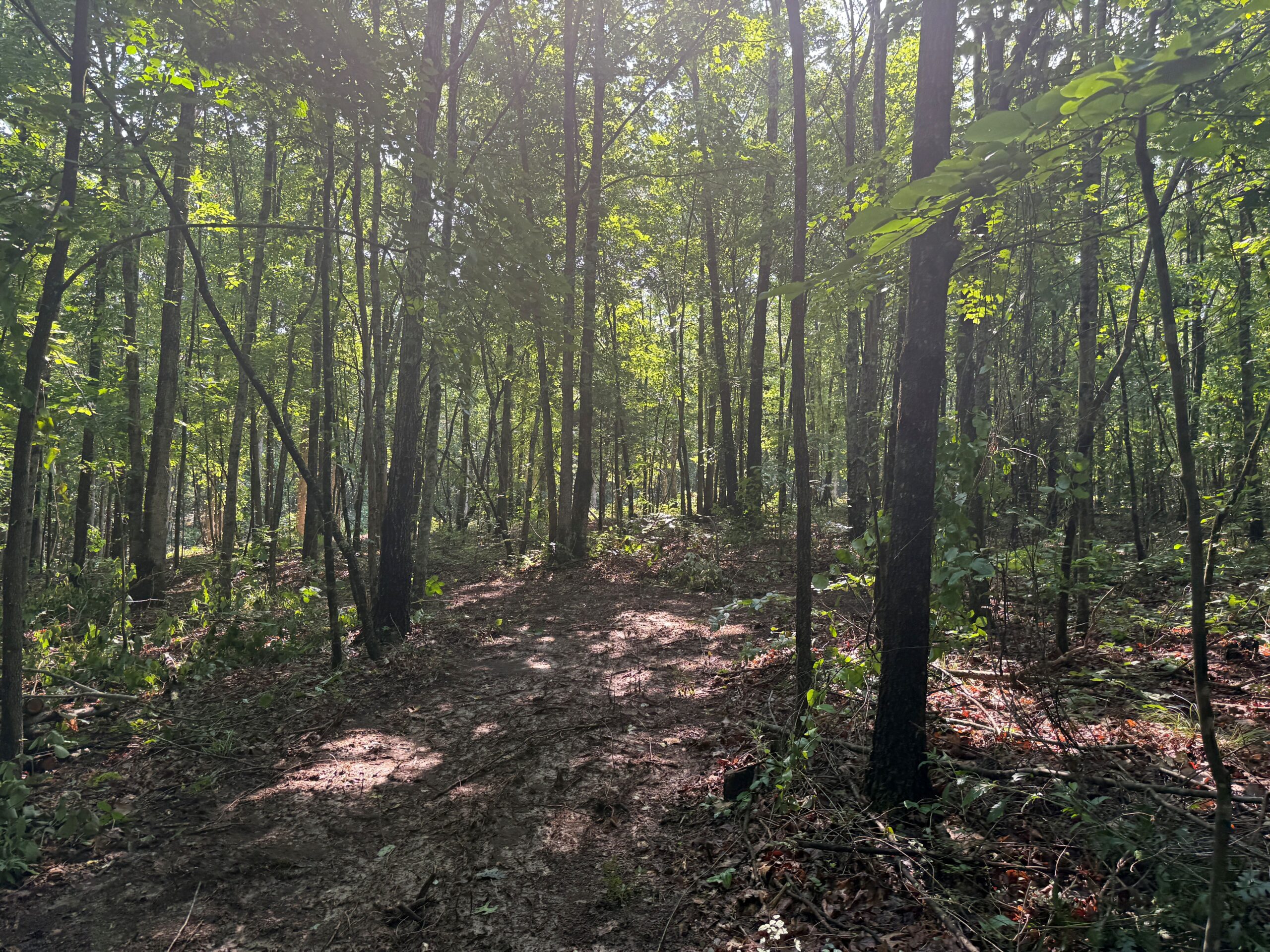UNRESTRICTED PRIVATE LAND FOR SALE WITH DEER & TURKEY HUNTING