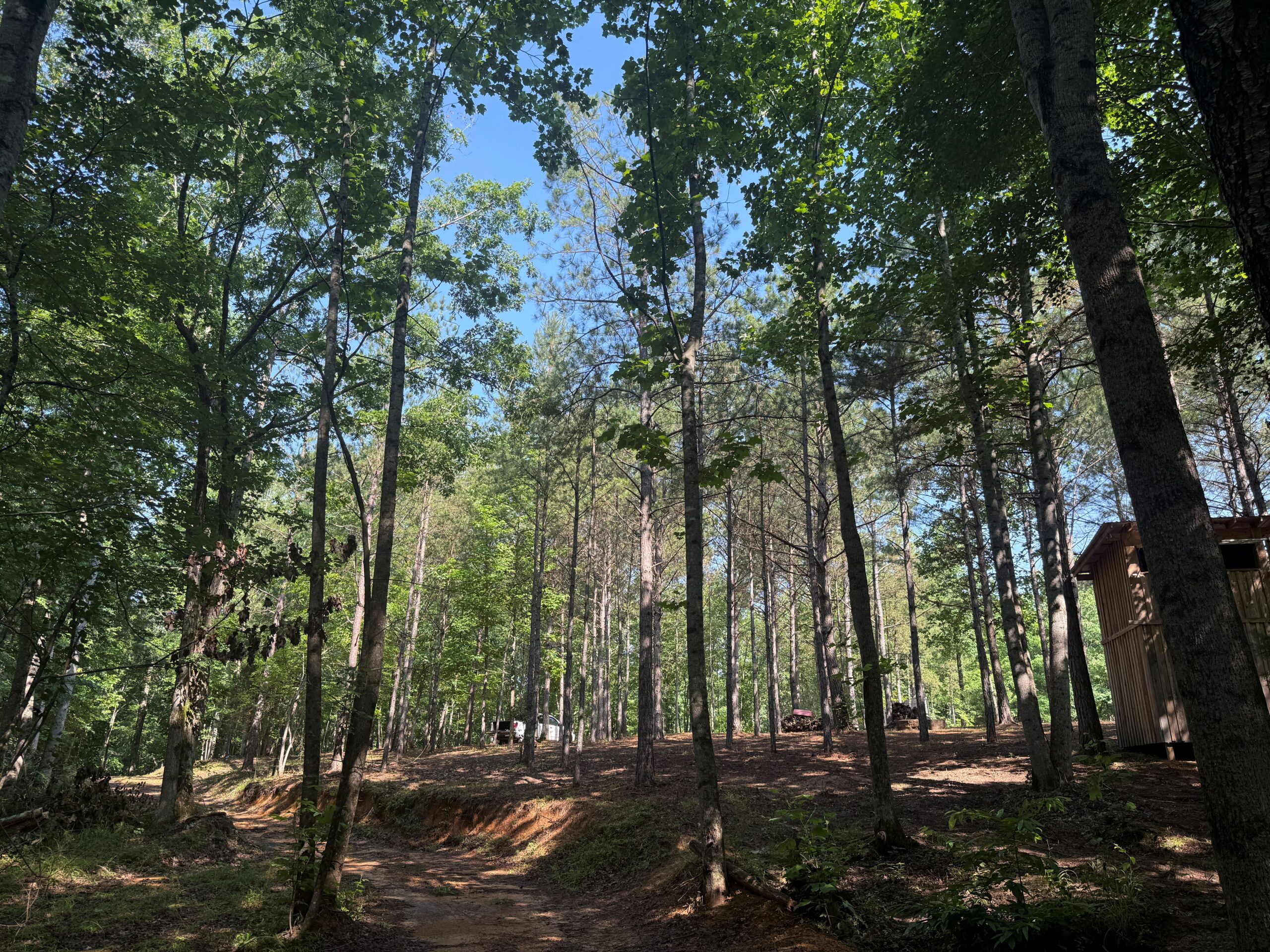 UNRESTRICTED PRIVATE LAND FOR SALE WITH DEER & TURKEY HUNTING