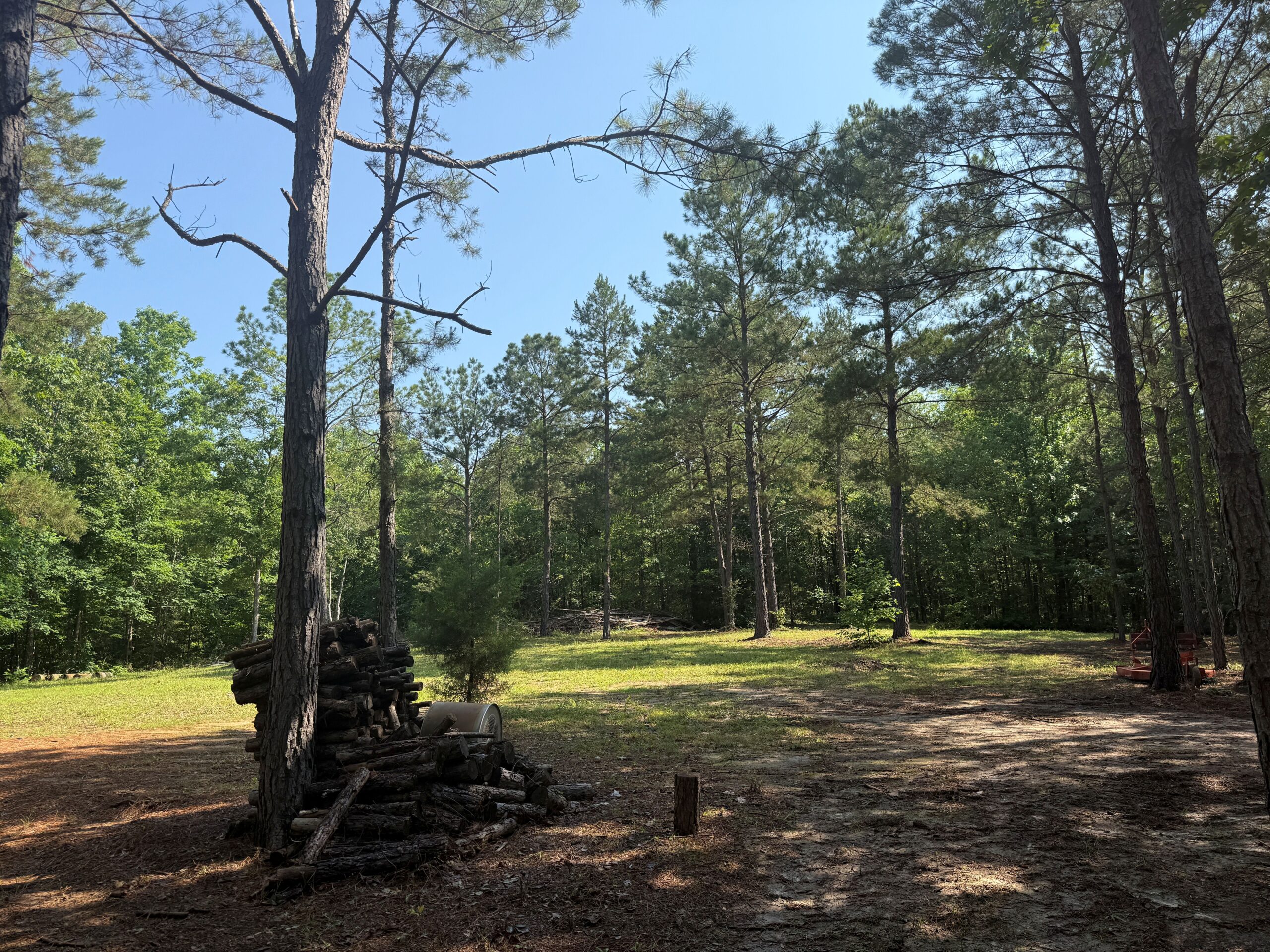 UNRESTRICTED PRIVATE LAND FOR SALE WITH DEER & TURKEY HUNTING