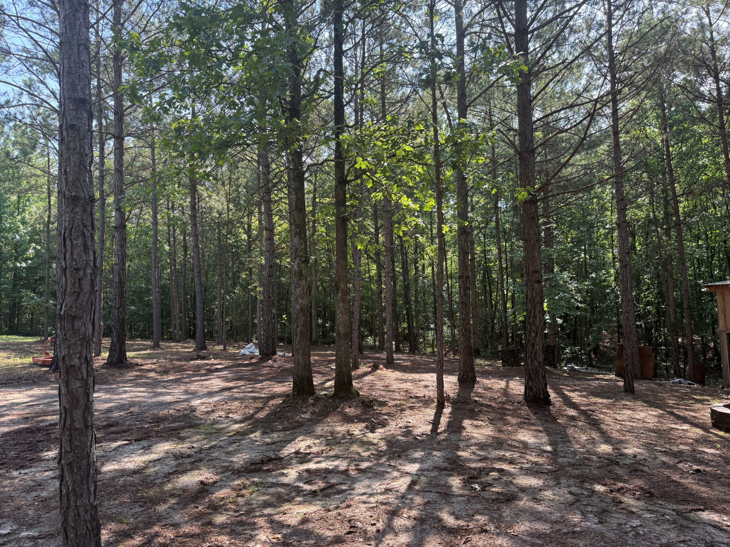 UNRESTRICTED PRIVATE LAND FOR SALE WITH DEER & TURKEY HUNTING