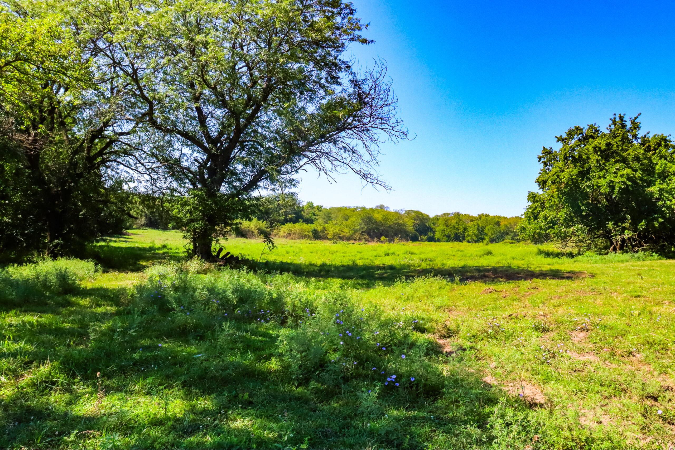 Caldwell County MO Online Only Land Auction