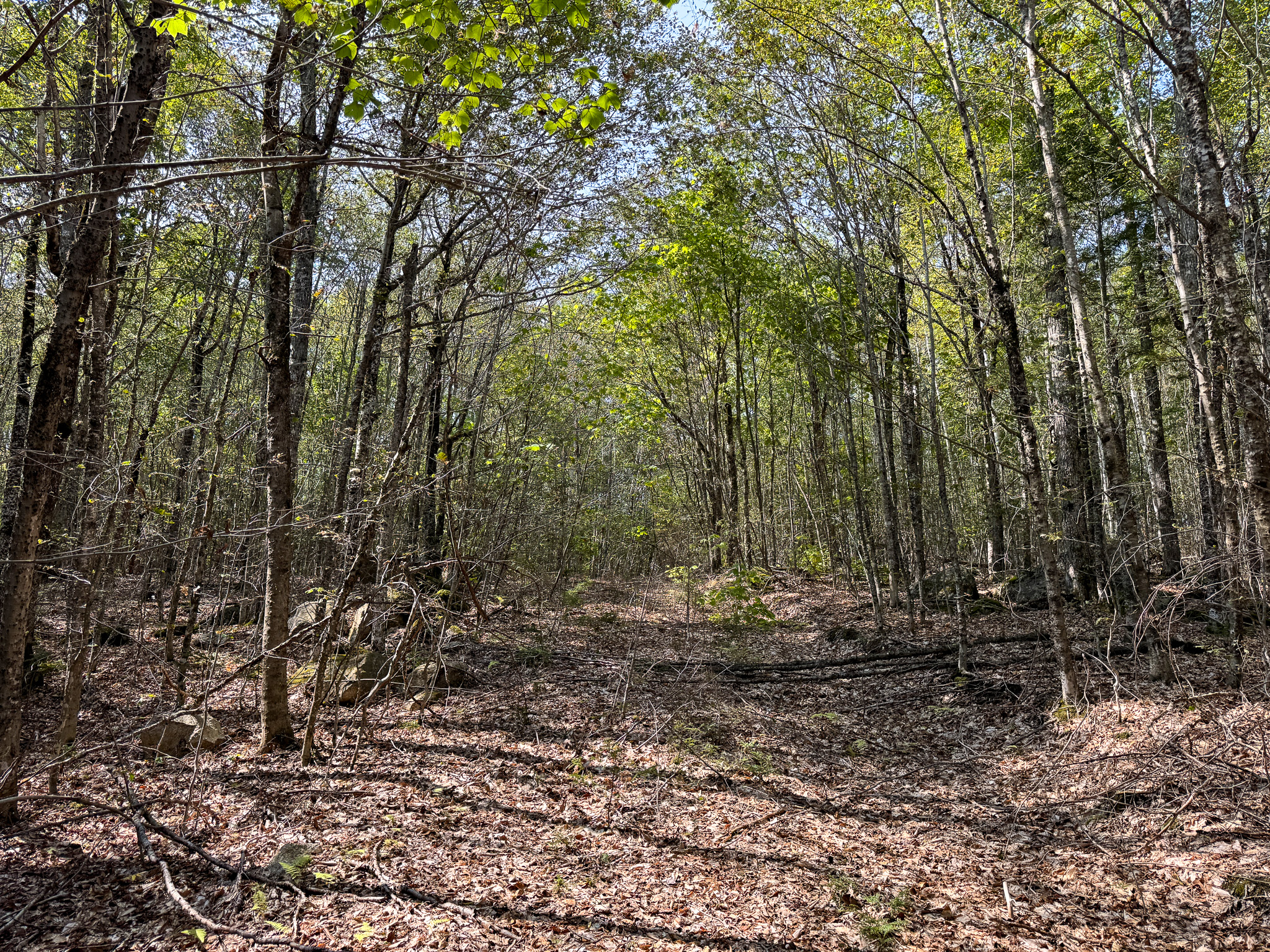 Unique 20 Acre Lakefront Parcel on Cold Stream Pond