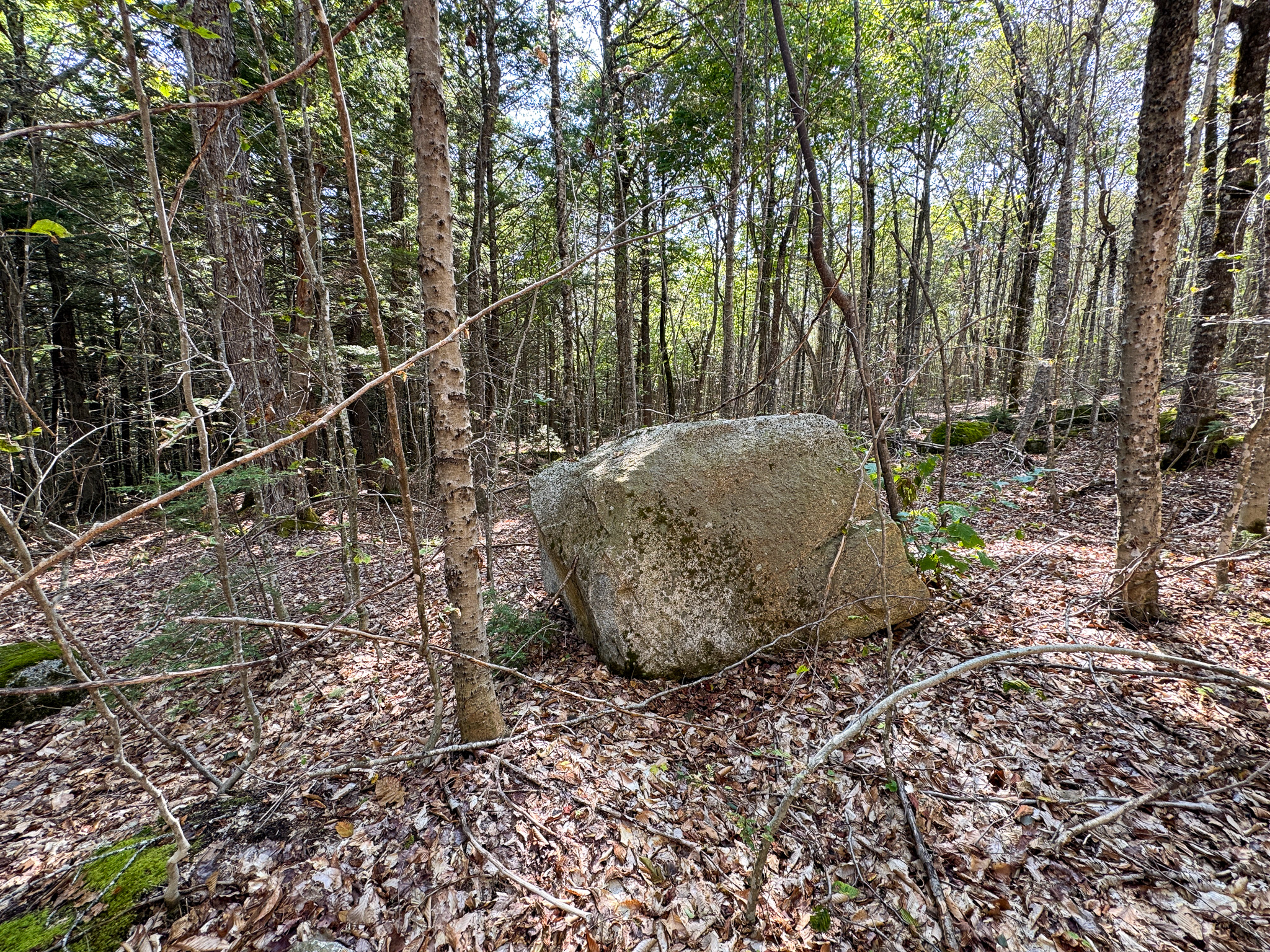Unique 20 Acre Lakefront Parcel on Cold Stream Pond