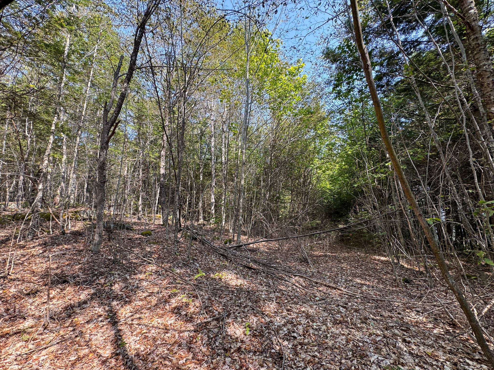 Unique 20 Acre Lakefront Parcel on Cold Stream Pond