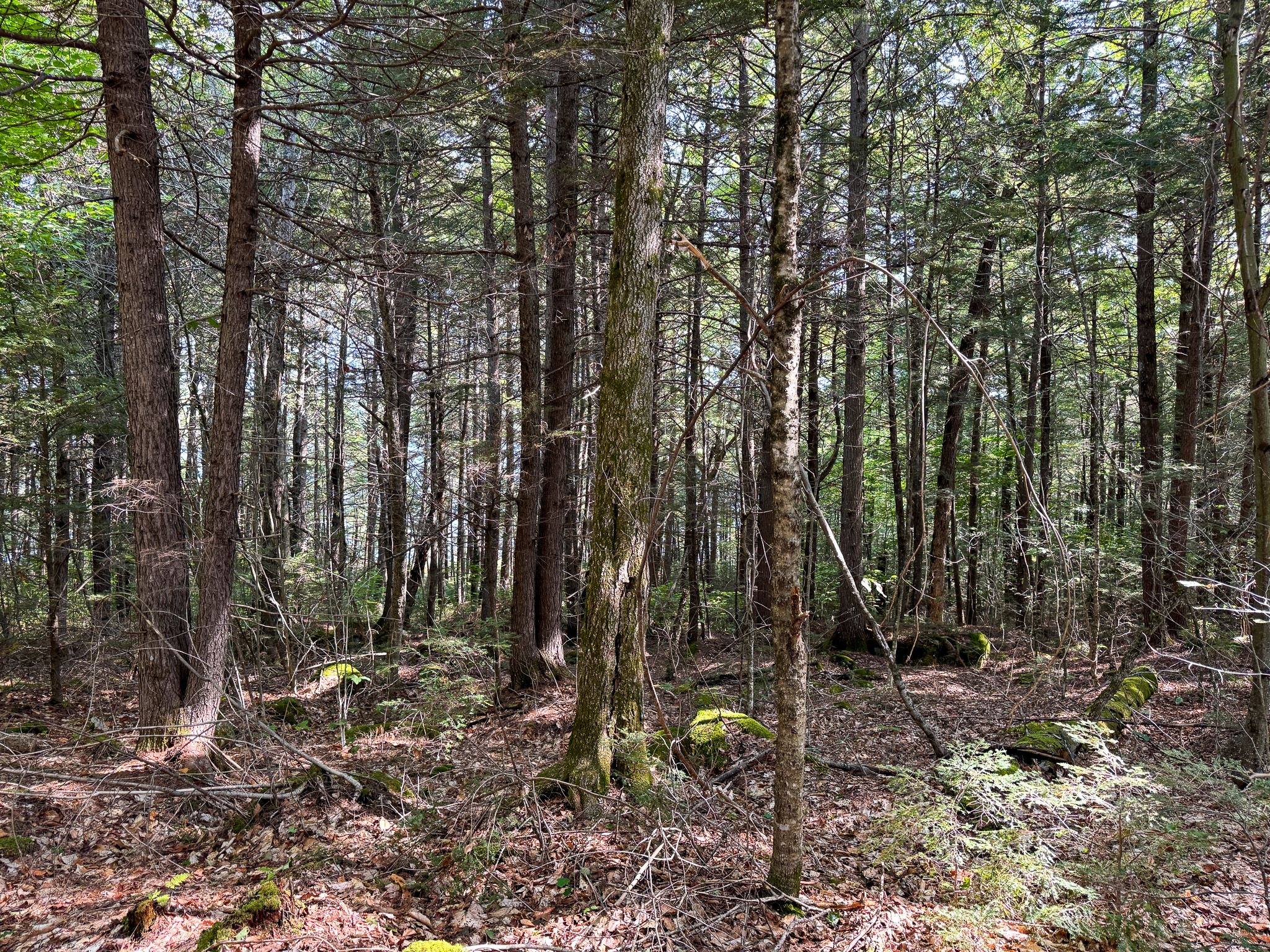 Unique 20 Acre Lakefront Parcel on Cold Stream Pond
