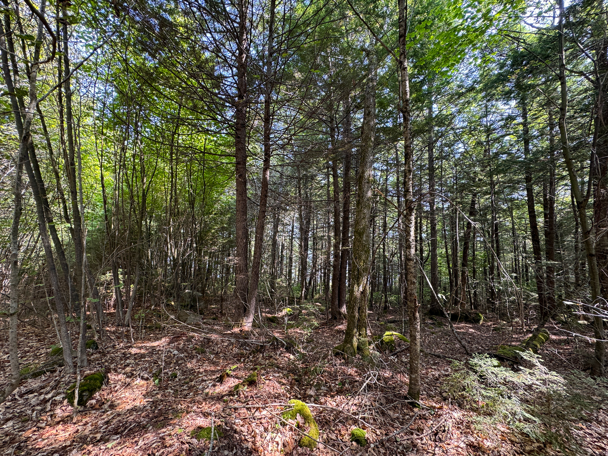 Unique 20 Acre Lakefront Parcel on Cold Stream Pond