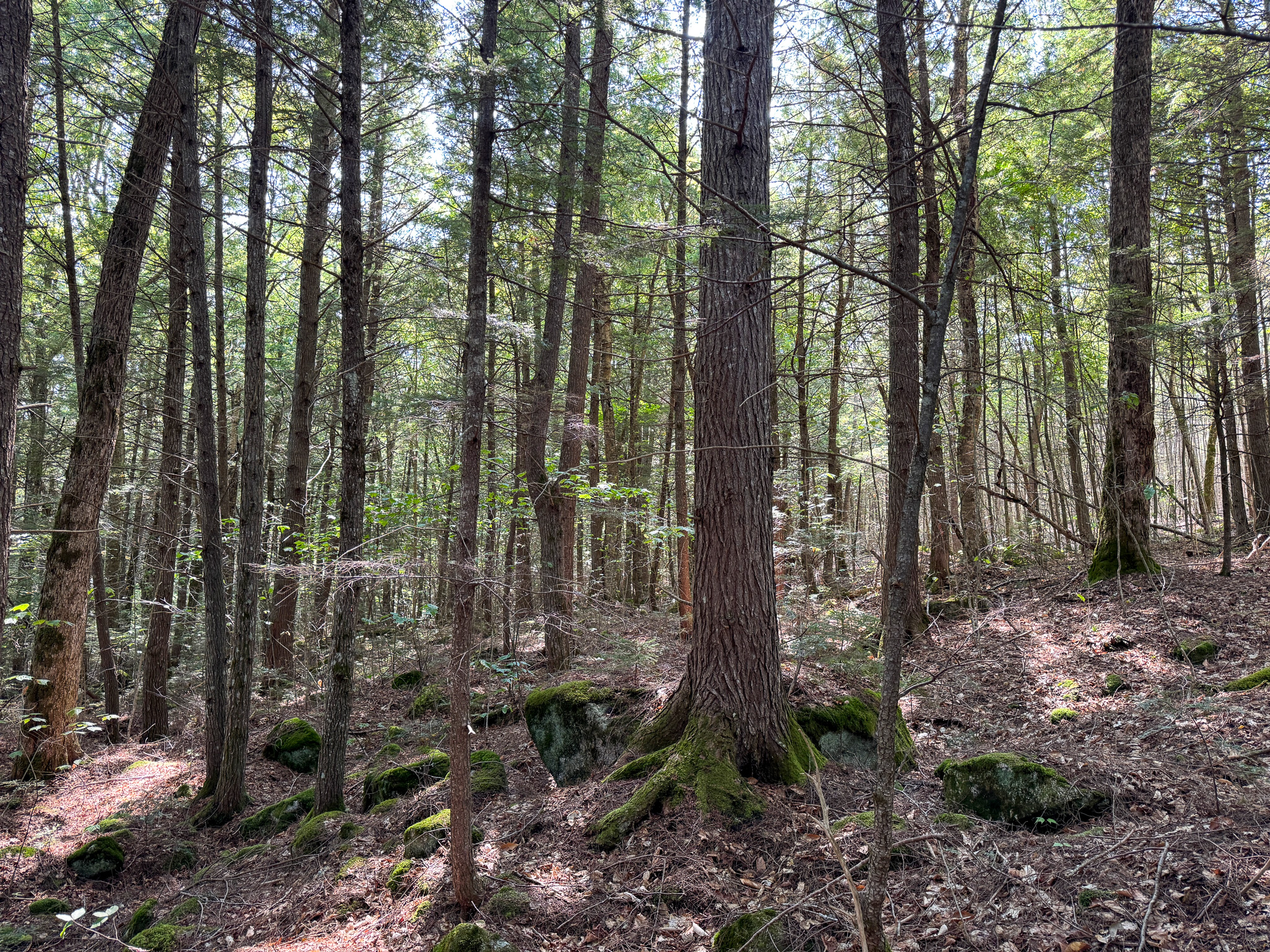 Unique 20 Acre Lakefront Parcel on Cold Stream Pond