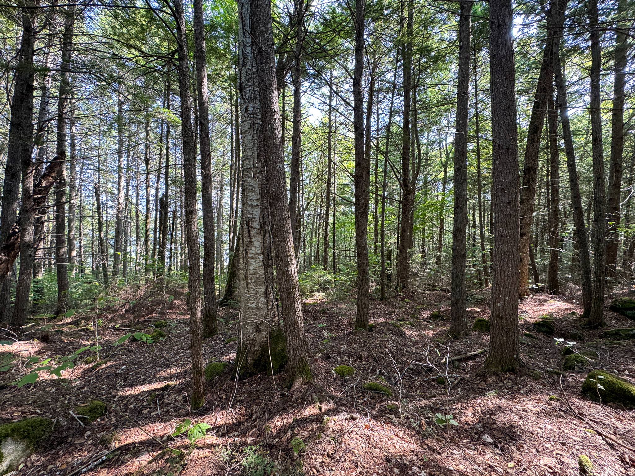 Unique 20 Acre Lakefront Parcel on Cold Stream Pond