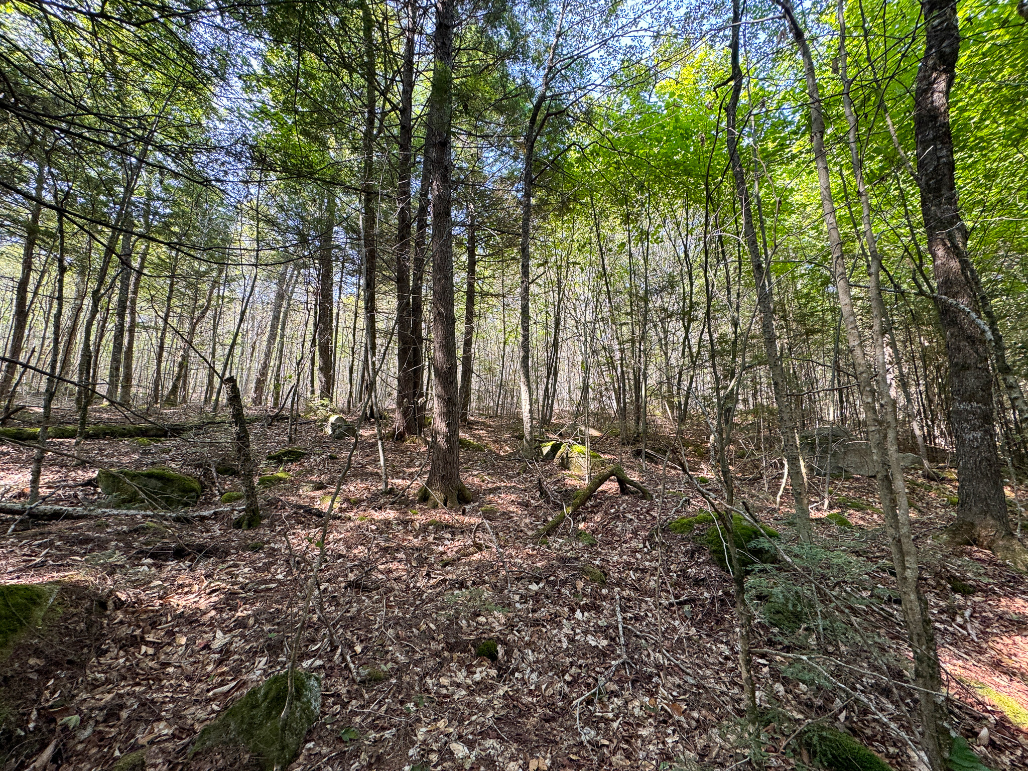 Unique 20 Acre Lakefront Parcel on Cold Stream Pond
