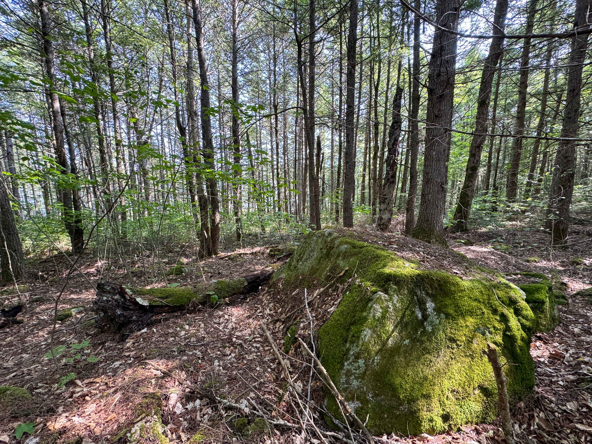 Unique 20 Acre Lakefront Parcel on Cold Stream Pond