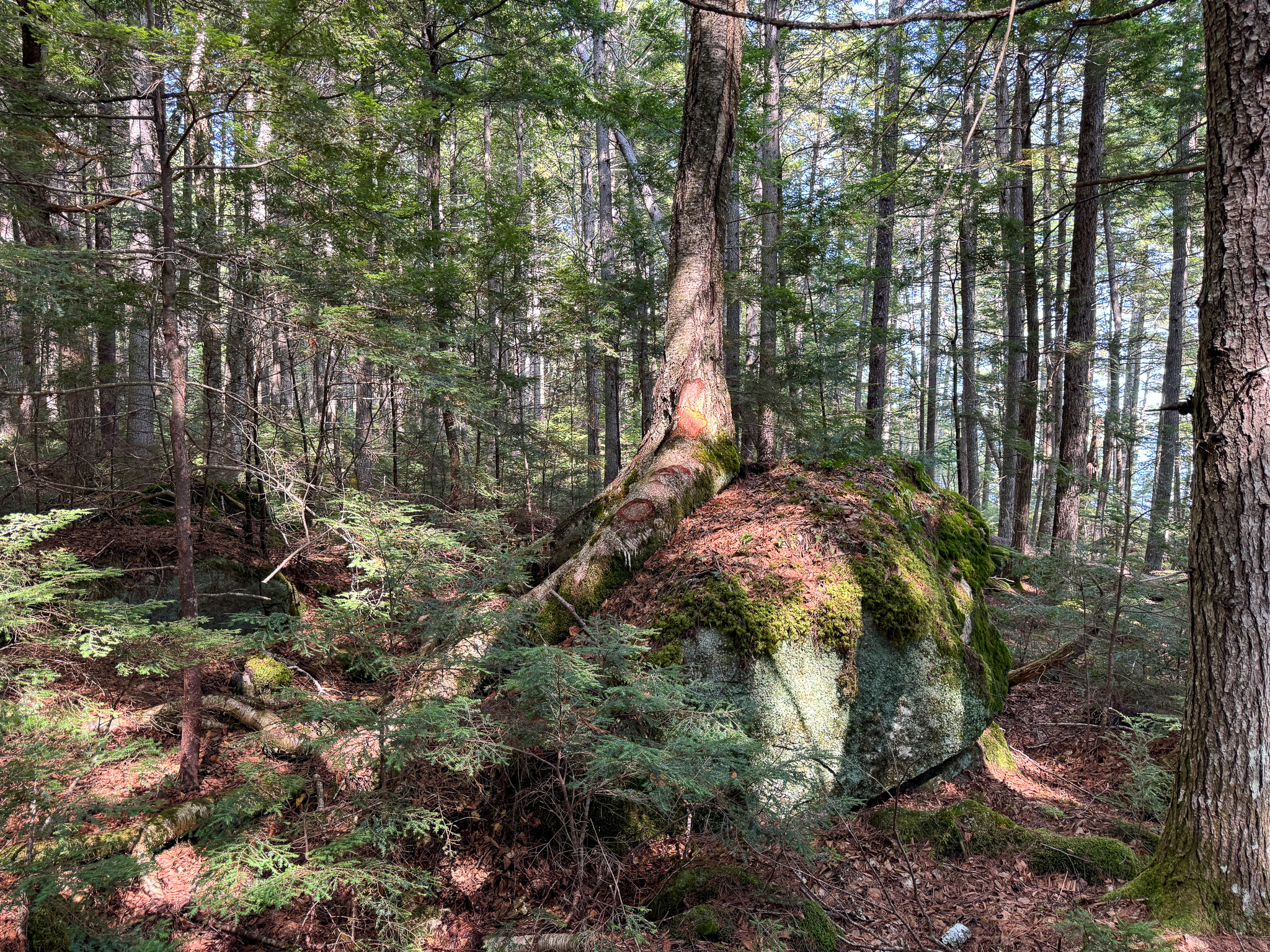Unique 20 Acre Lakefront Parcel on Cold Stream Pond