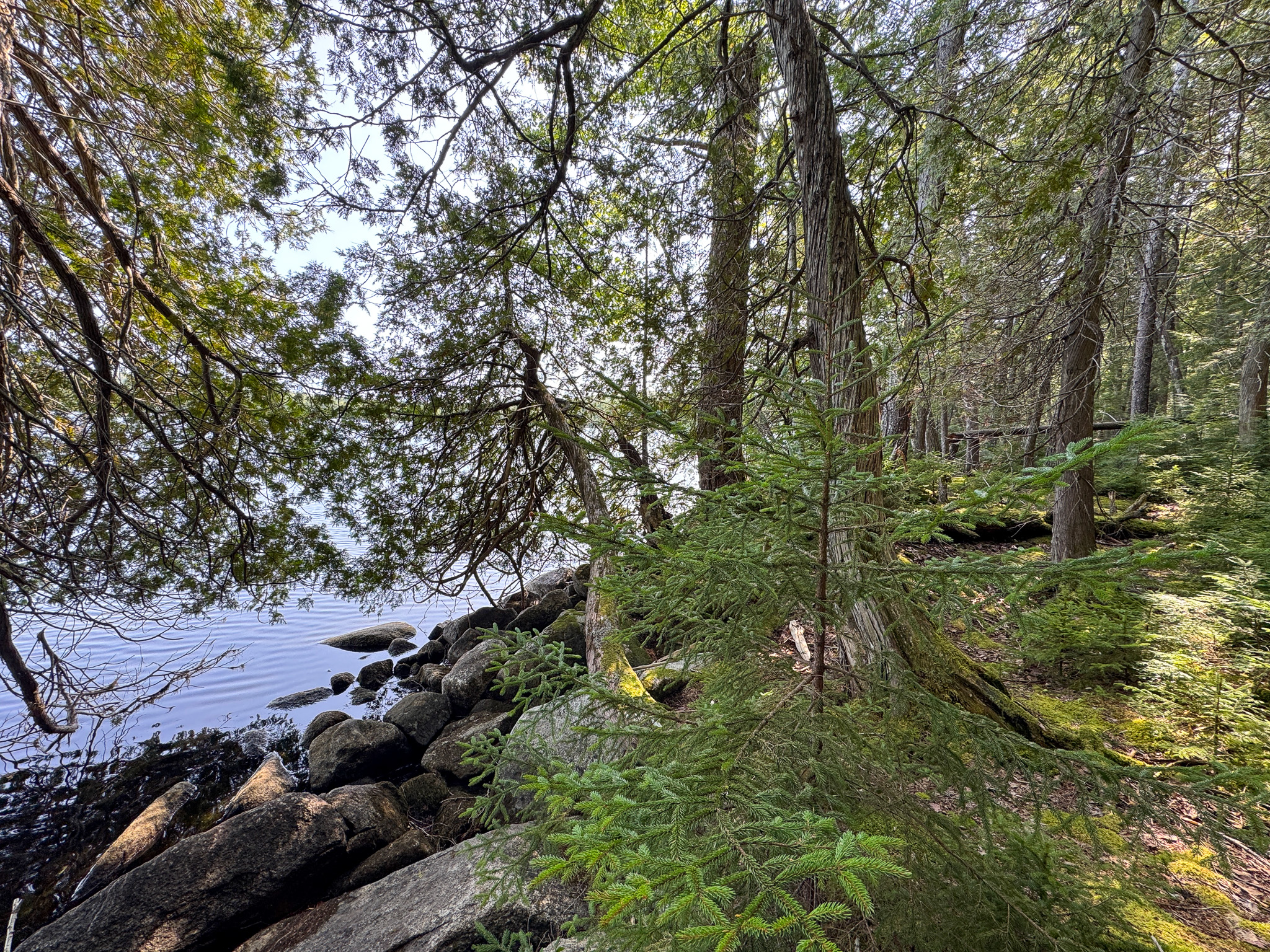 Unique 20 Acre Lakefront Parcel on Cold Stream Pond