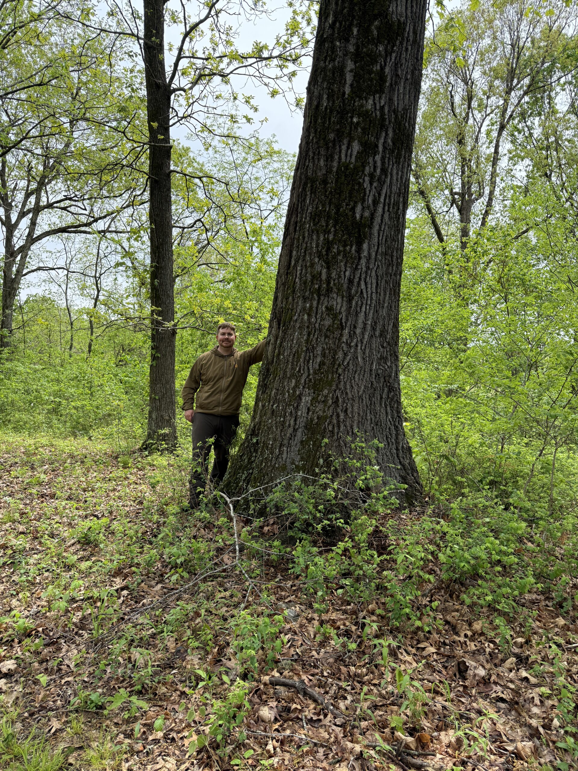 HUNTING AND RECREATIONAL LAND FOR SALE IN ARKANSAS OZARKS