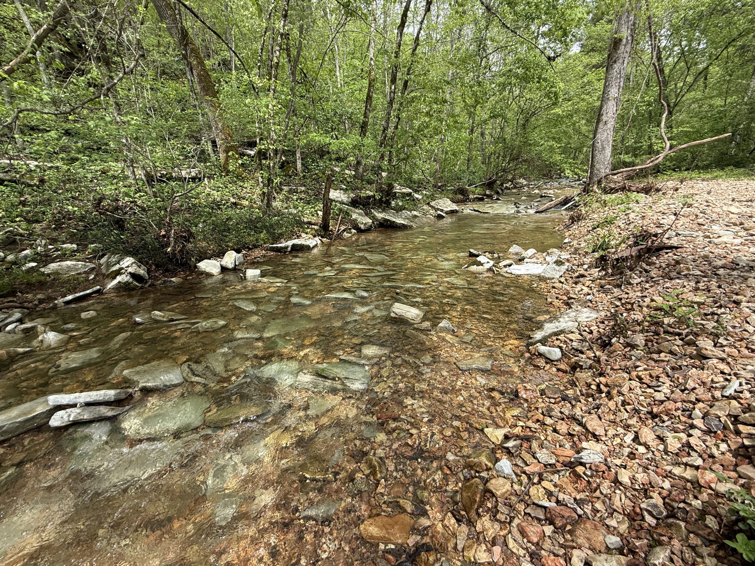 HUNTING AND RECREATIONAL LAND FOR SALE IN ARKANSAS OZARKS