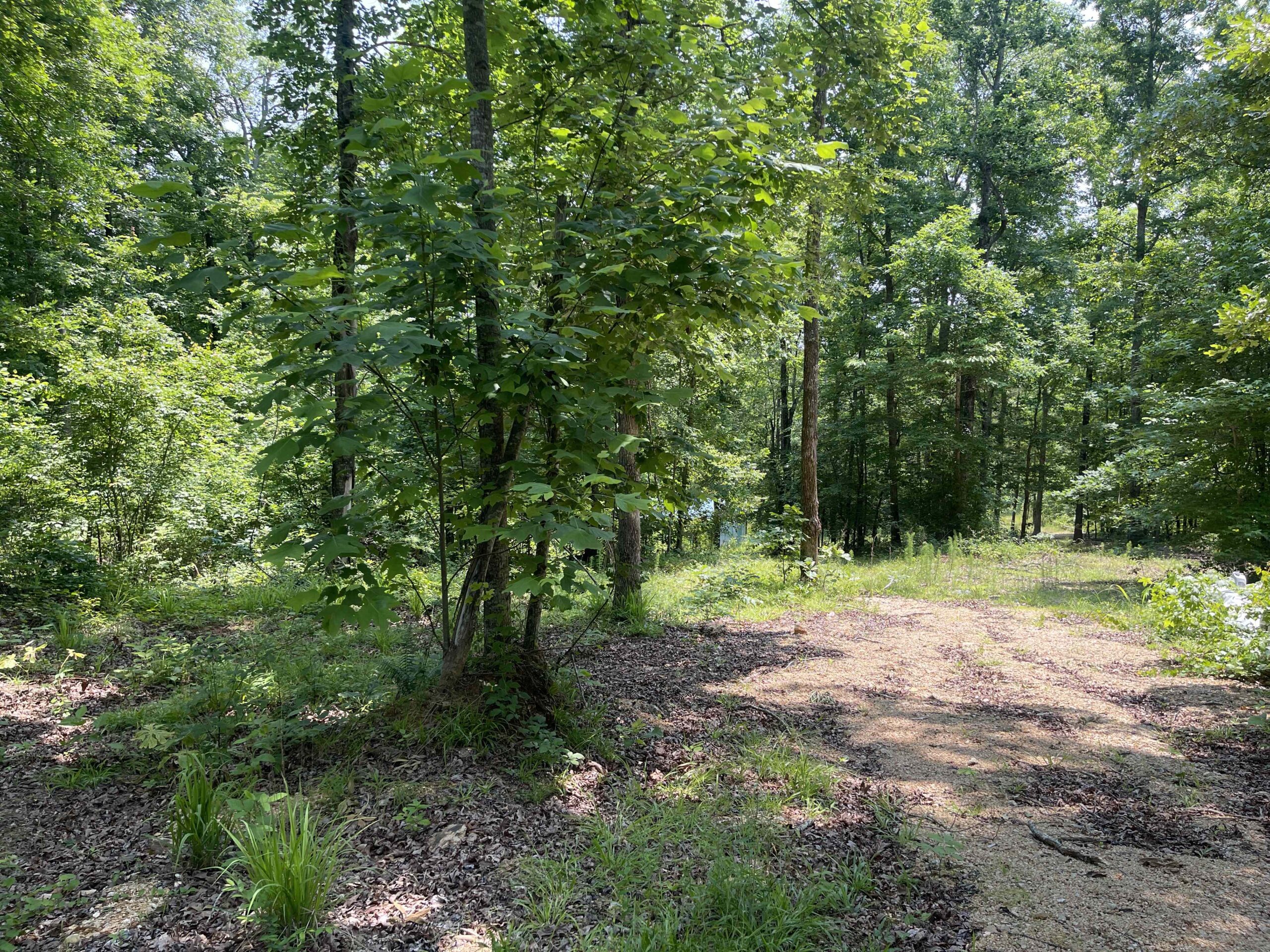 UNRESTRICTED LAND NEAR RIVER – DEER & TURKEY HUNTING