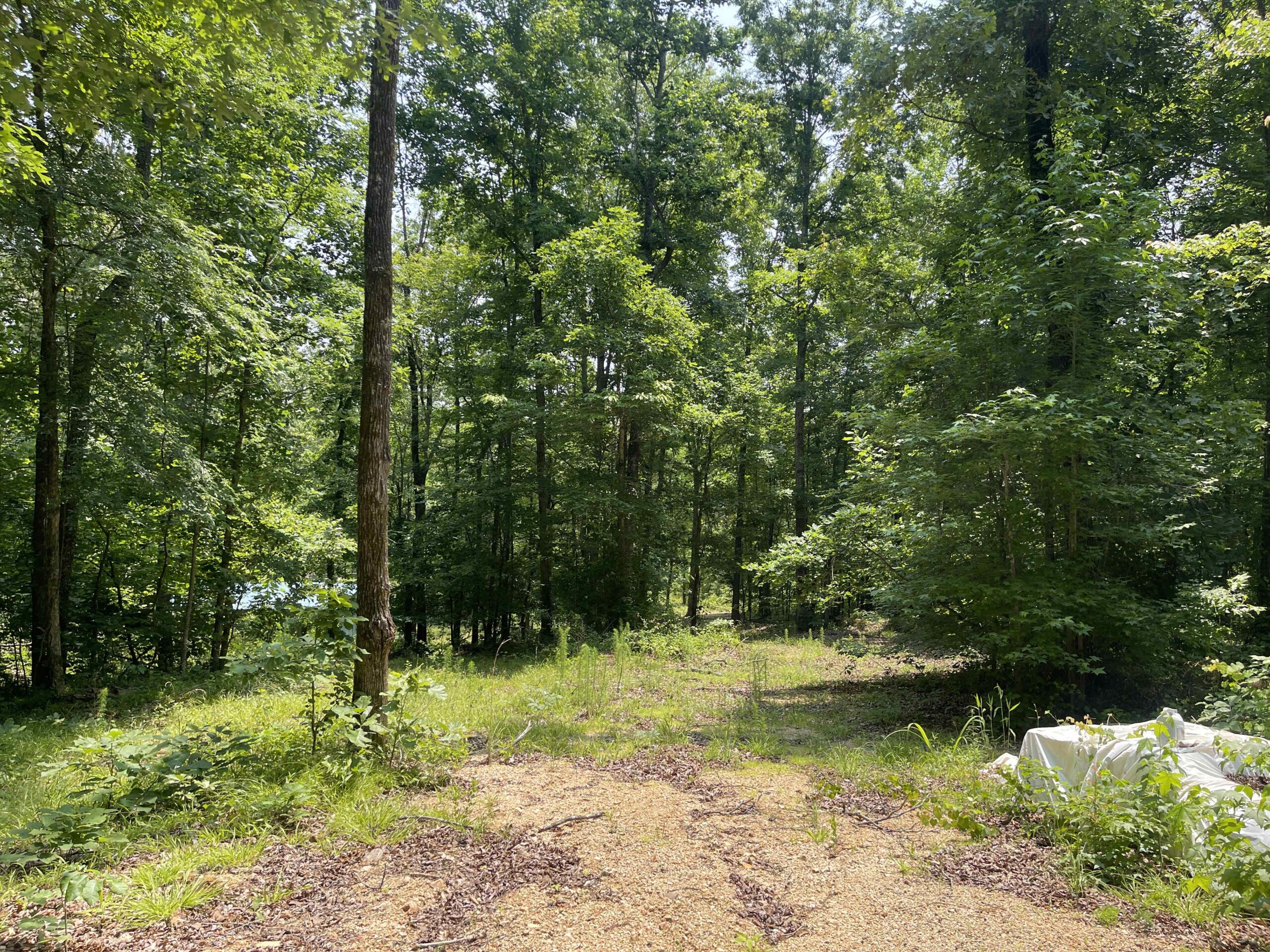 UNRESTRICTED LAND NEAR RIVER – DEER & TURKEY HUNTING