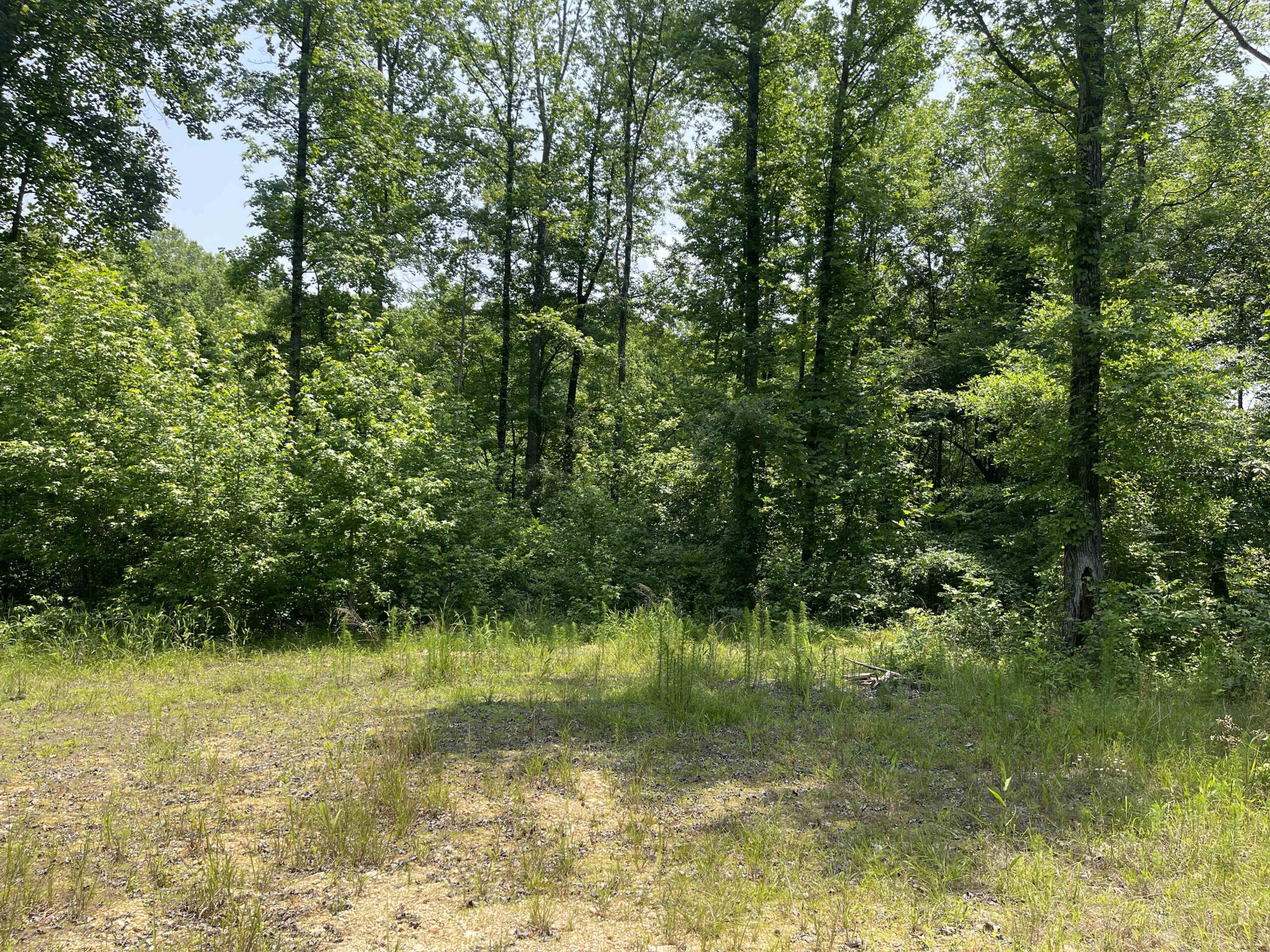 UNRESTRICTED LAND NEAR RIVER – DEER & TURKEY HUNTING