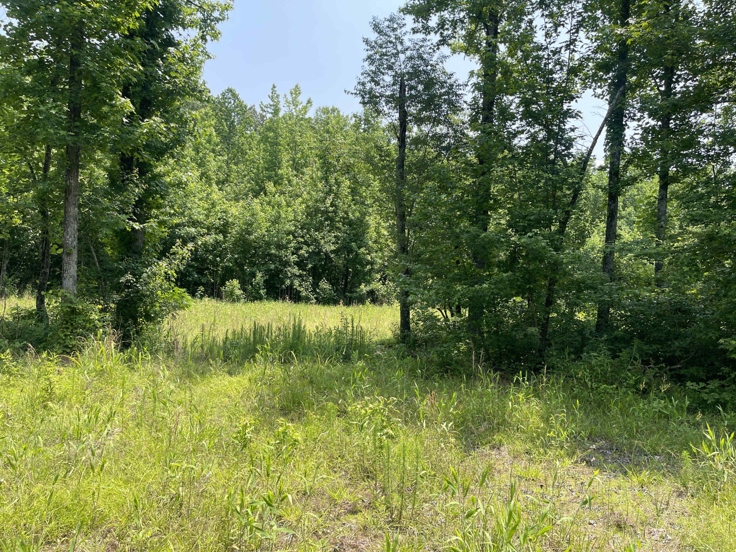 UNRESTRICTED LAND NEAR RIVER – DEER & TURKEY HUNTING
