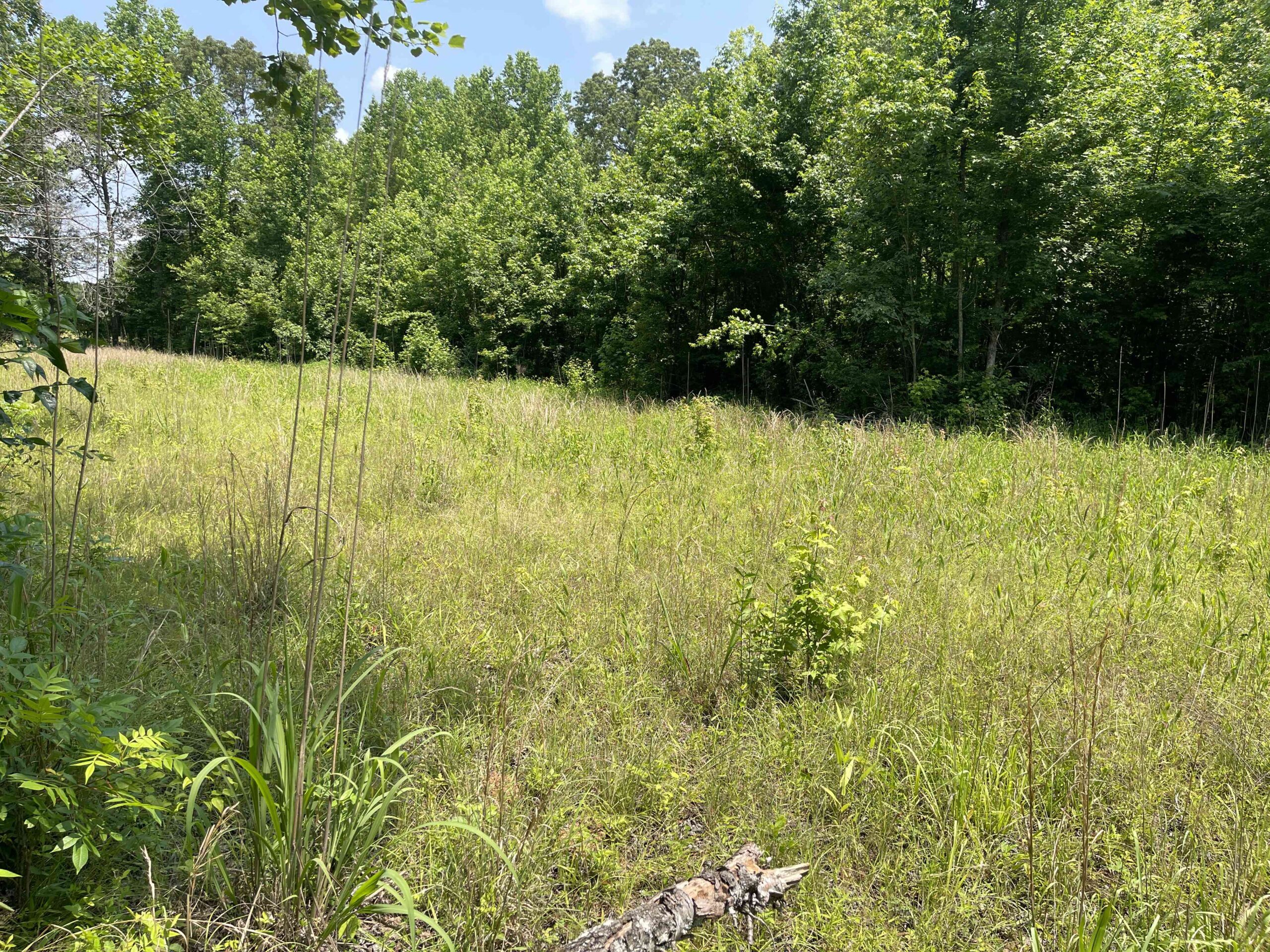 UNRESTRICTED LAND NEAR RIVER – DEER & TURKEY HUNTING