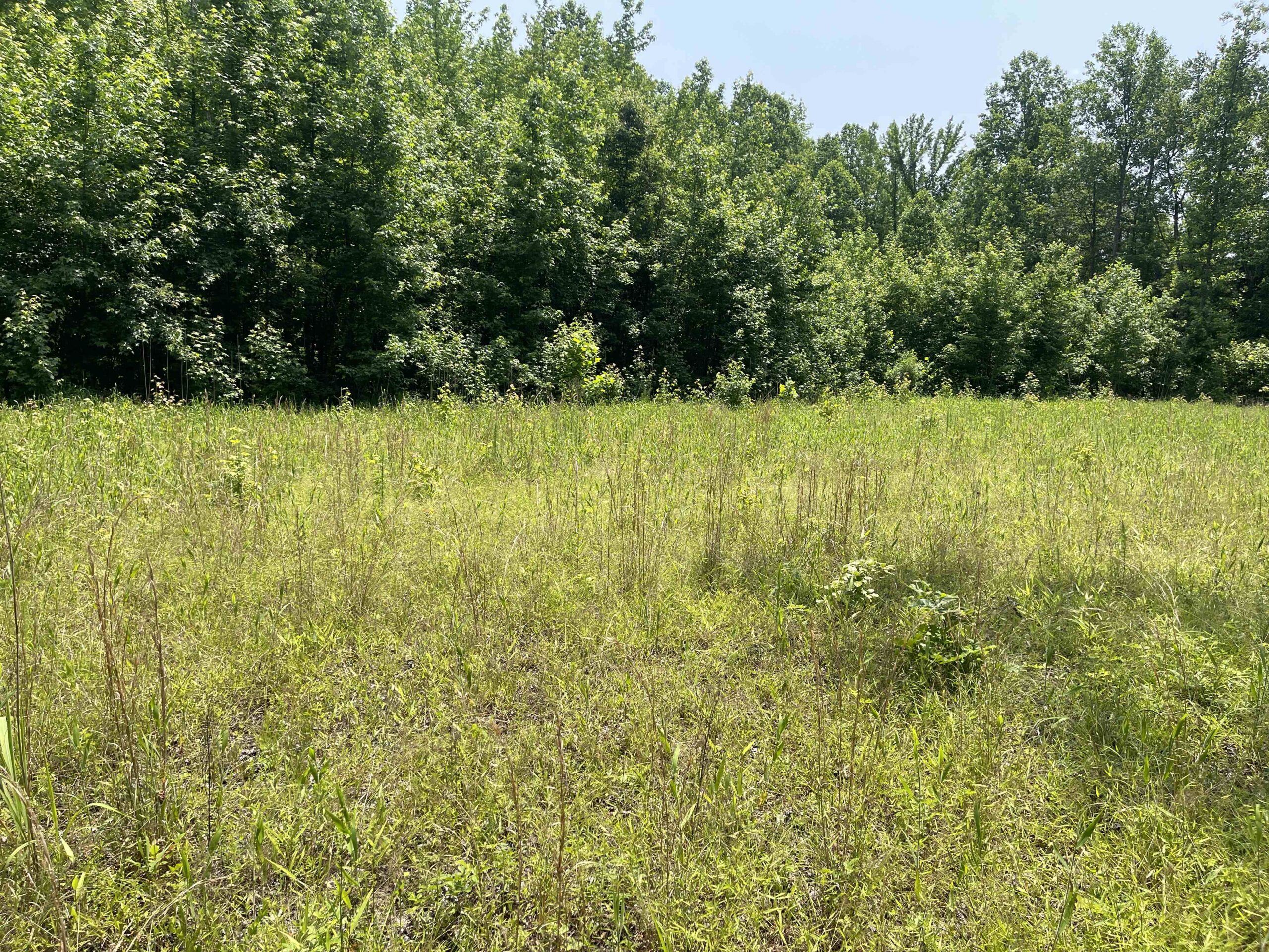 UNRESTRICTED LAND NEAR RIVER – DEER & TURKEY HUNTING
