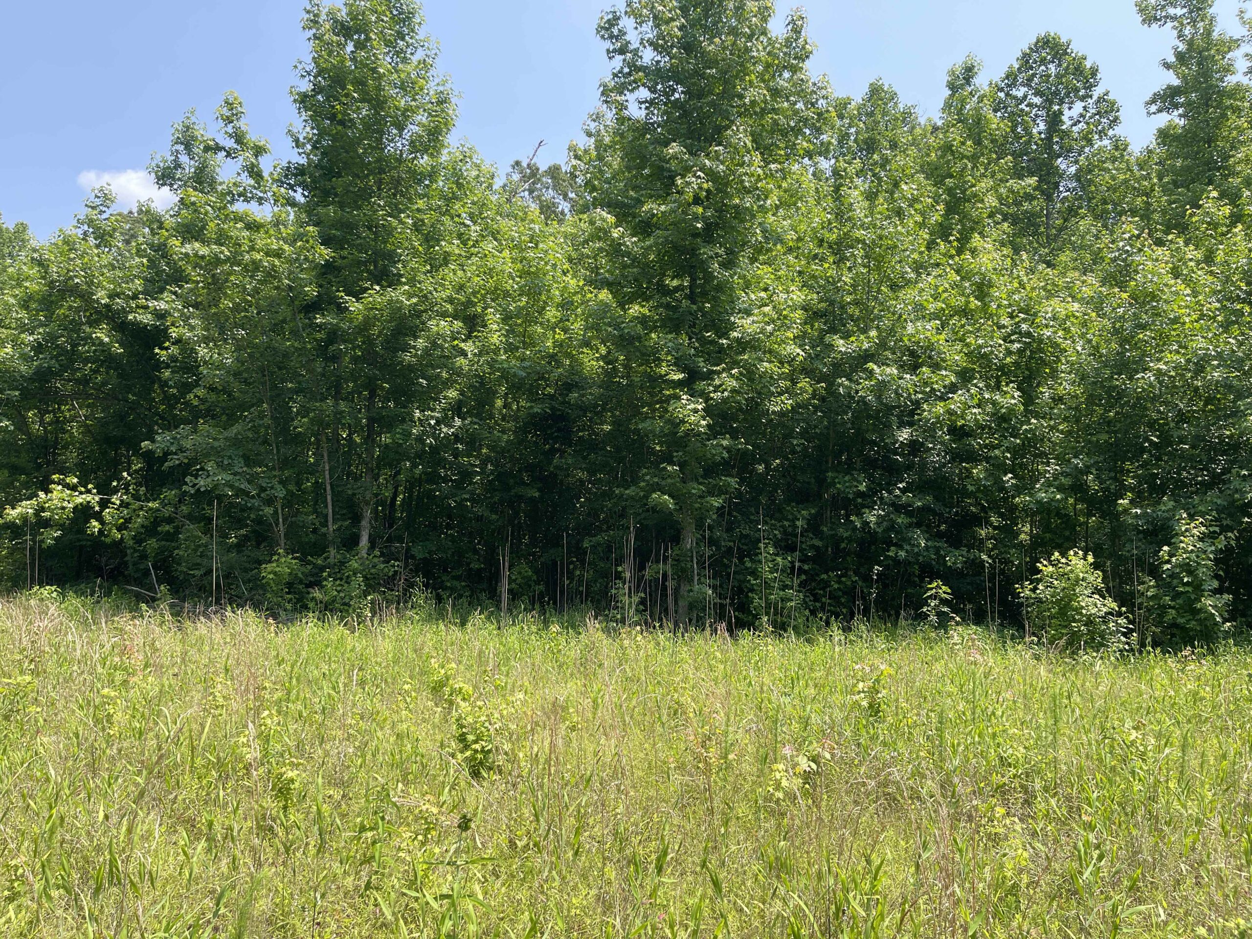 UNRESTRICTED LAND NEAR RIVER – DEER & TURKEY HUNTING