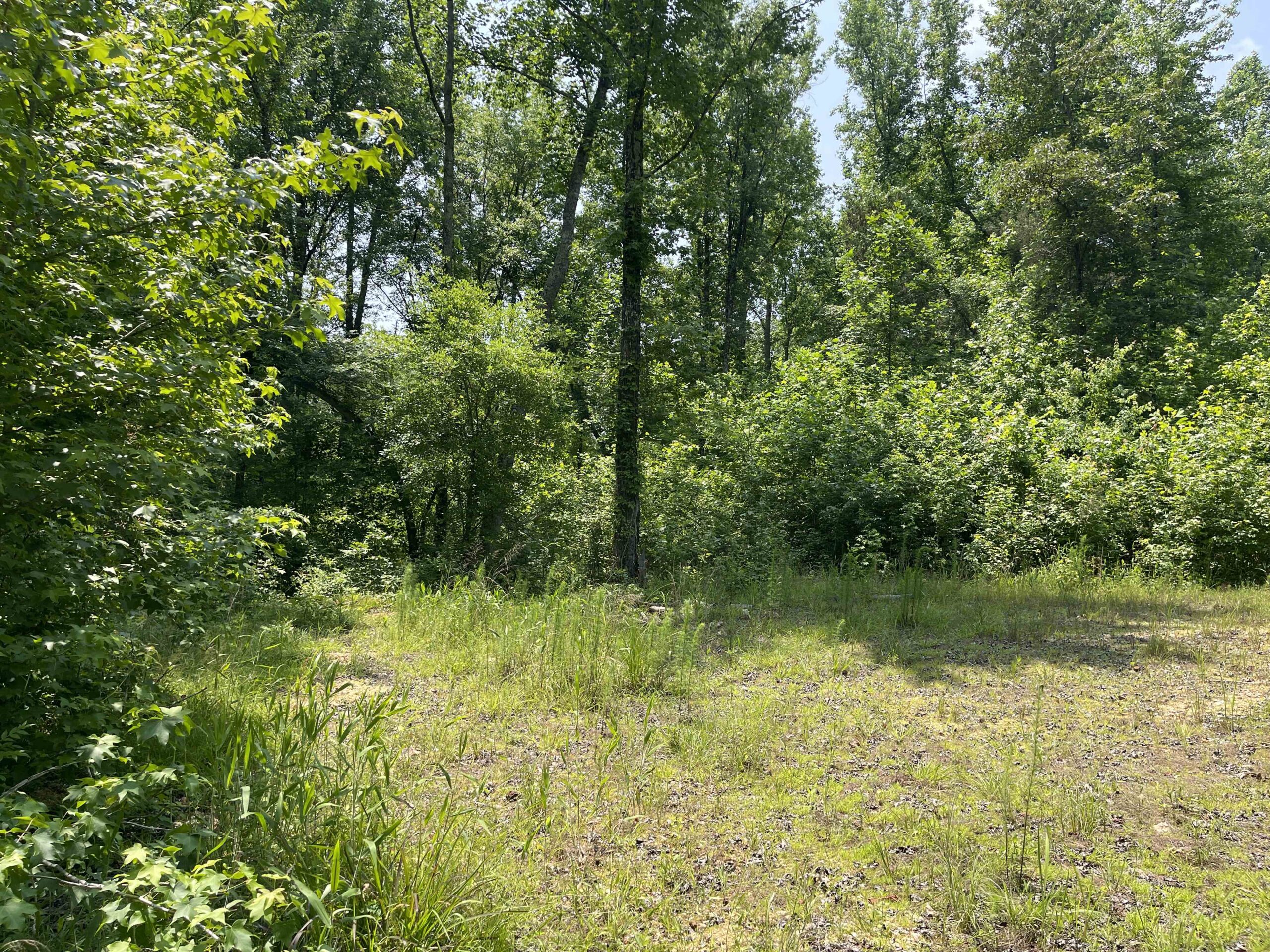 UNRESTRICTED LAND NEAR RIVER – DEER & TURKEY HUNTING