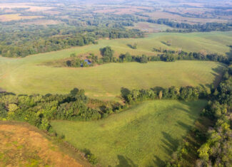 195+/- Monroe County, Iowa Hunting & Investment Farm with CRP, Hay, and Recreational Opportunity