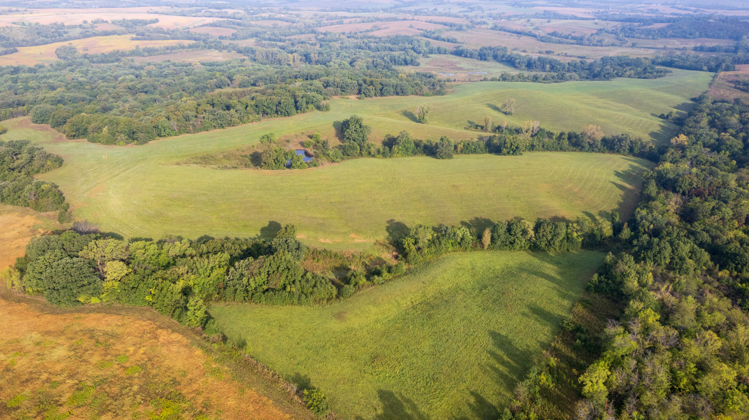 195+/- Monroe County, Iowa Hunting & Investment Farm with CRP, Hay, and Recreational Opportunity