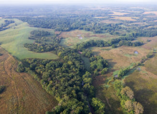 195+/- Monroe County, Iowa Hunting & Investment Farm with CRP, Hay, and Recreational Opportunity