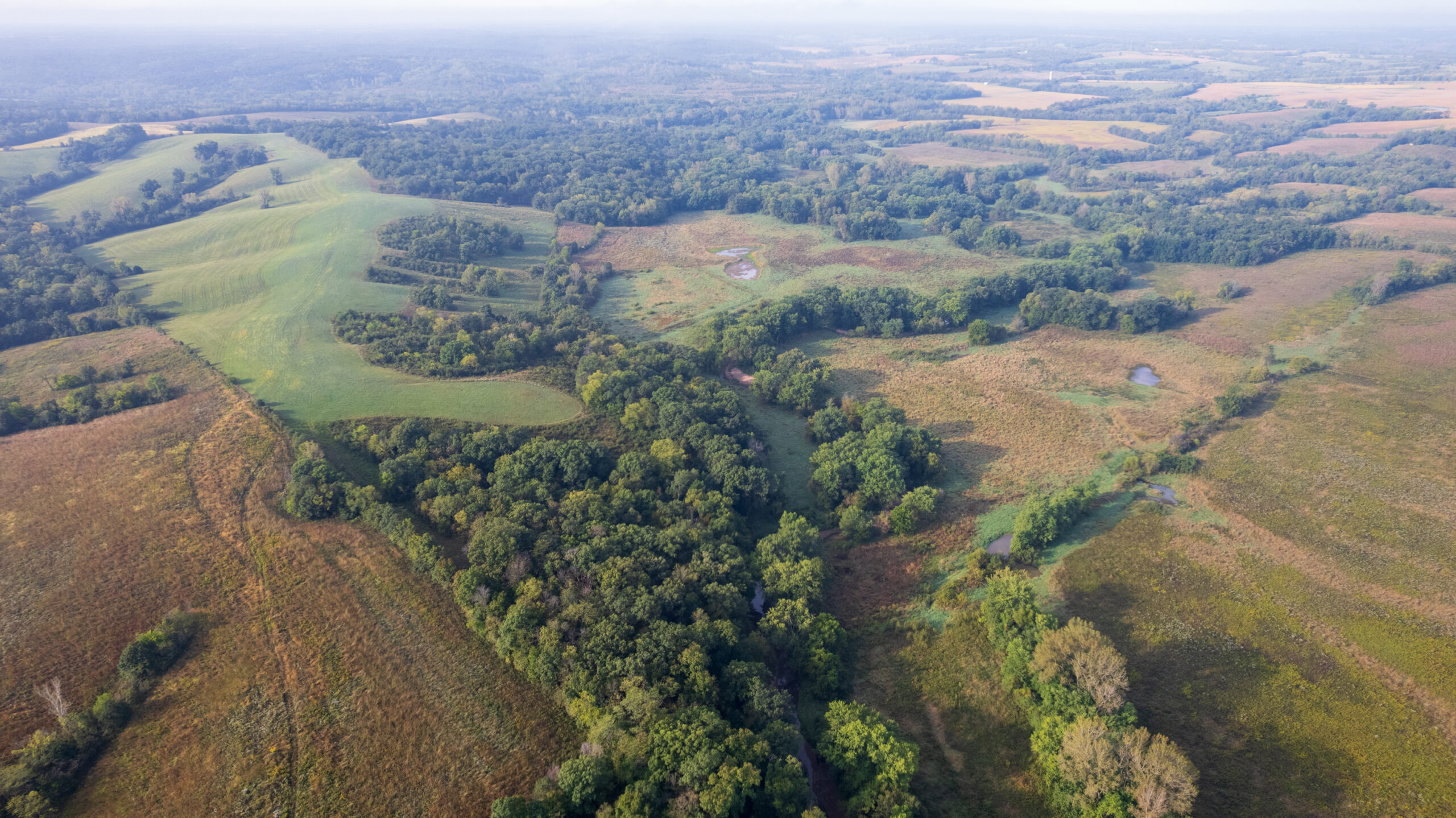 195+/- Monroe County, Iowa Hunting & Investment Farm with CRP, Hay, and Recreational Opportunity
