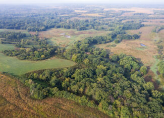195+/- Monroe County, Iowa Hunting & Investment Farm with CRP, Hay, and Recreational Opportunity