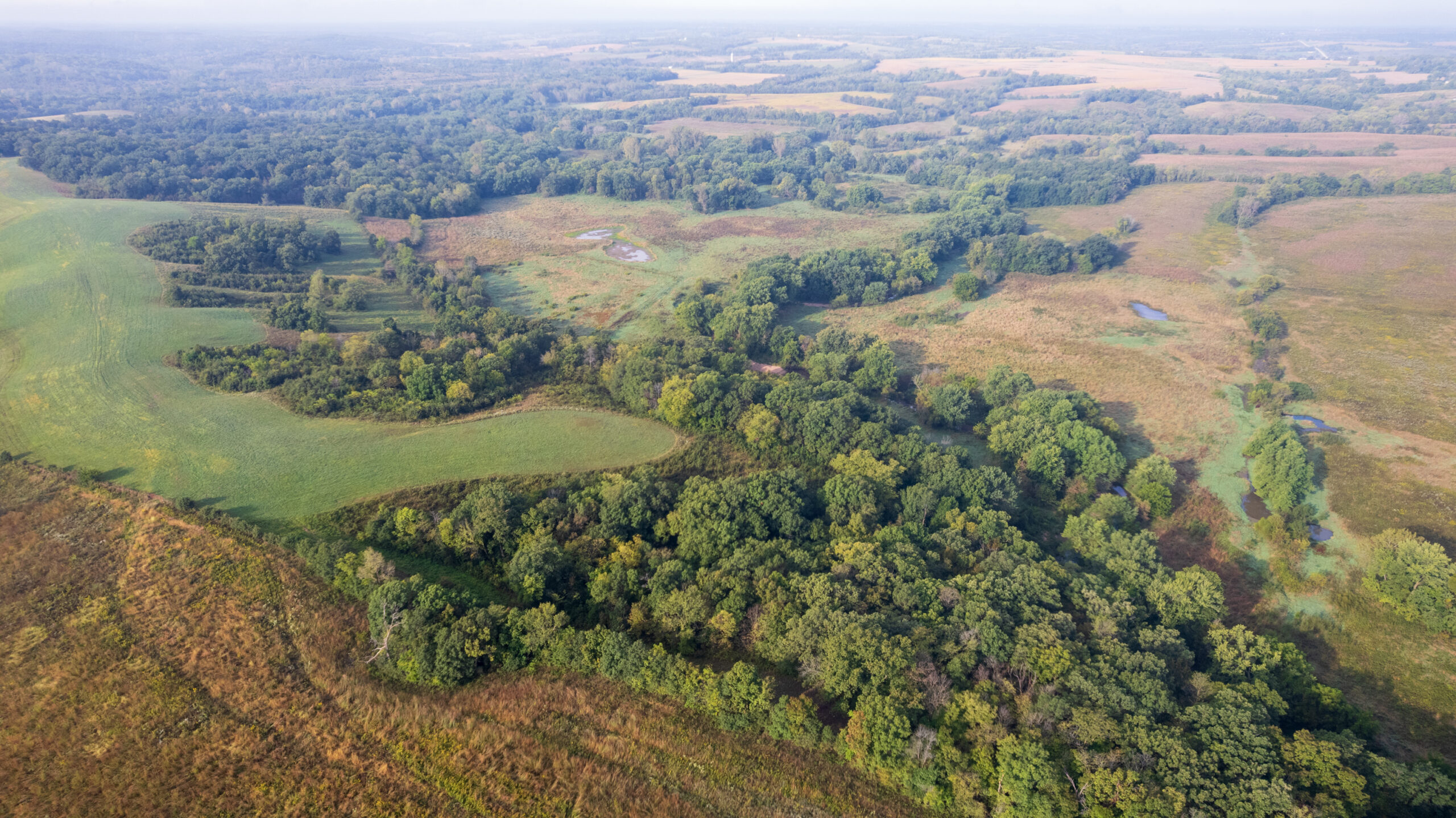 195+/- Monroe County, Iowa Hunting & Investment Farm with CRP, Hay, and Recreational Opportunity