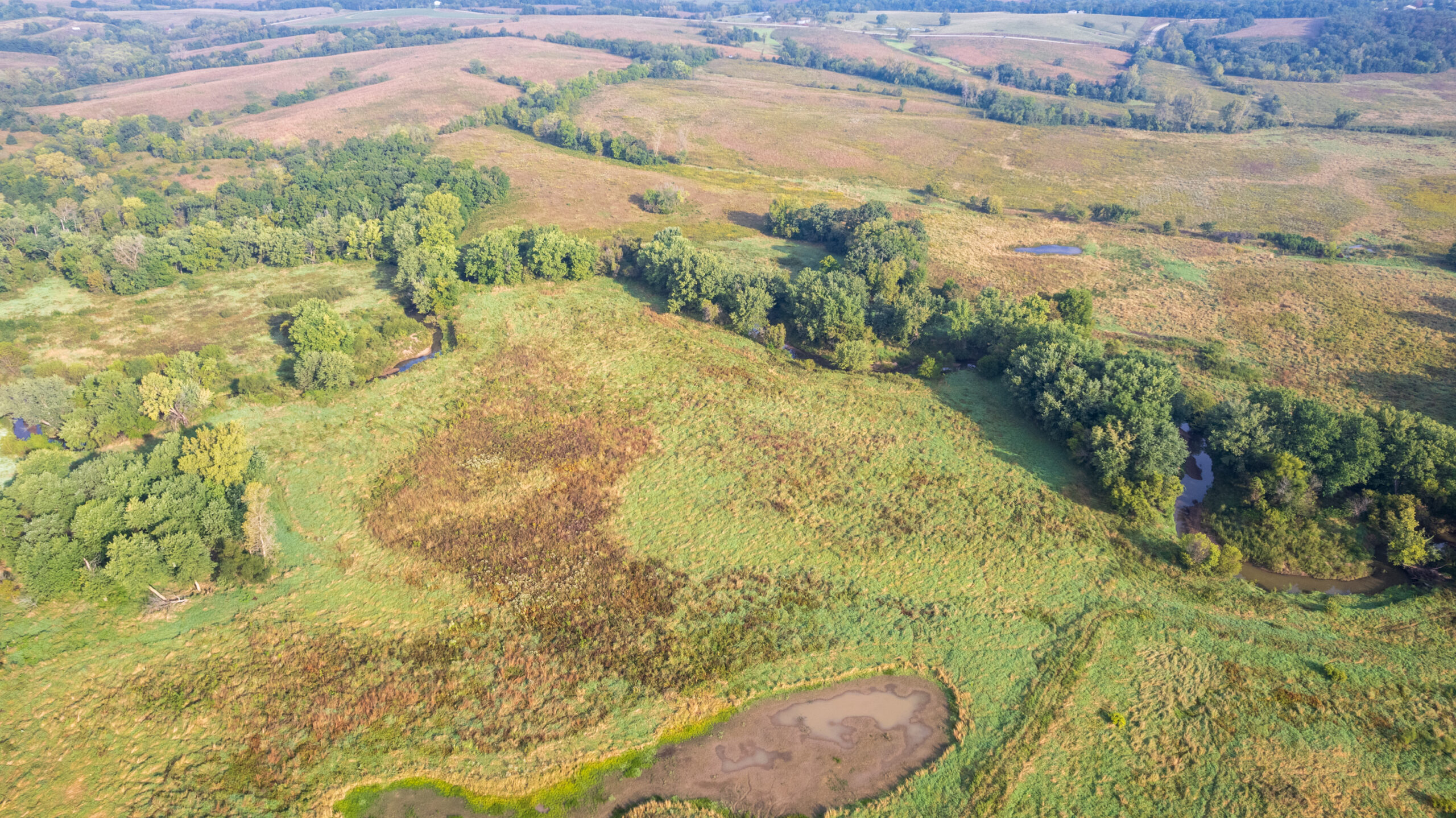 195+/- Monroe County, Iowa Hunting & Investment Farm with CRP, Hay, and Recreational Opportunity