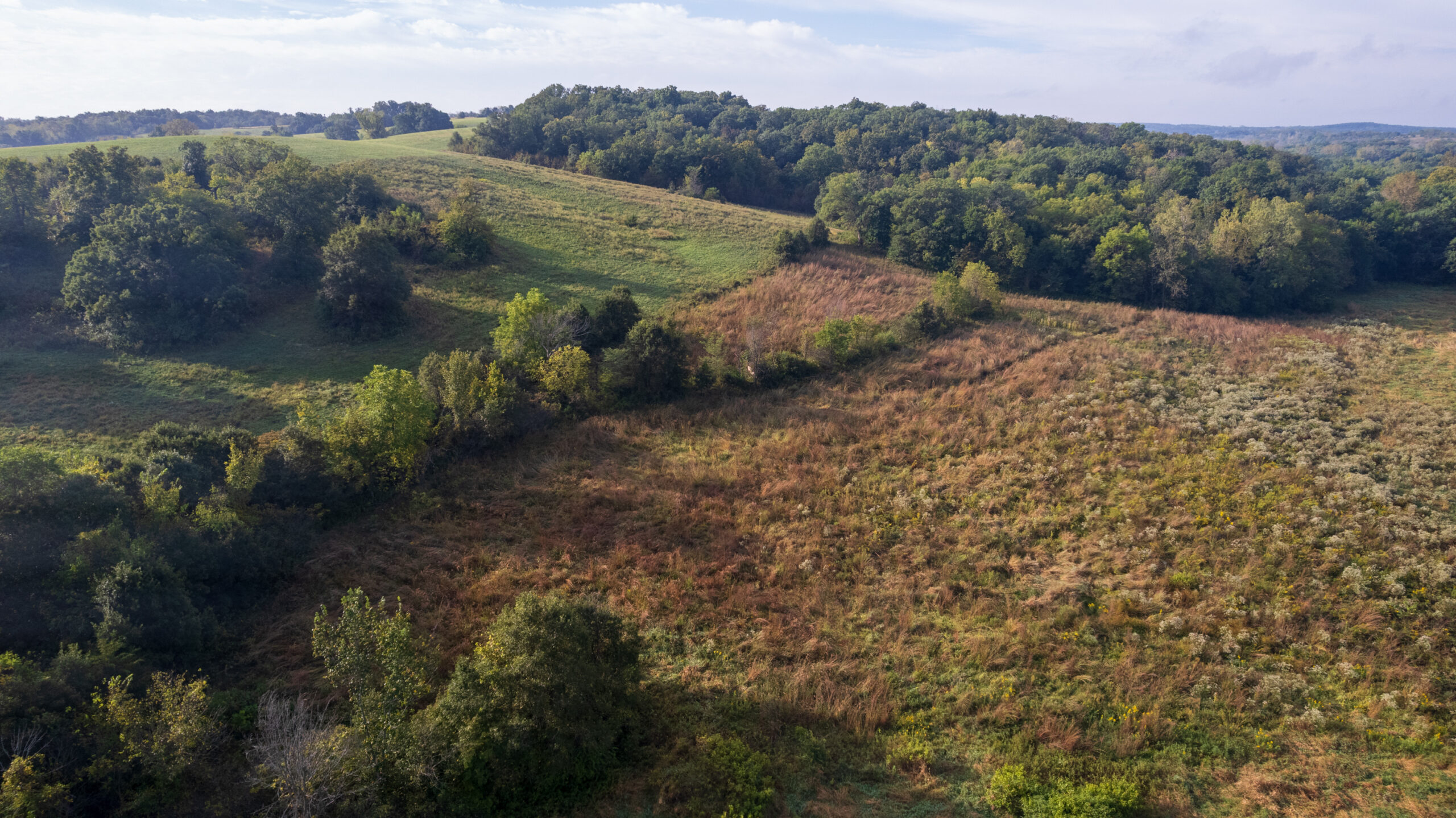 195+/- Monroe County, Iowa Hunting & Investment Farm with CRP, Hay, and Recreational Opportunity
