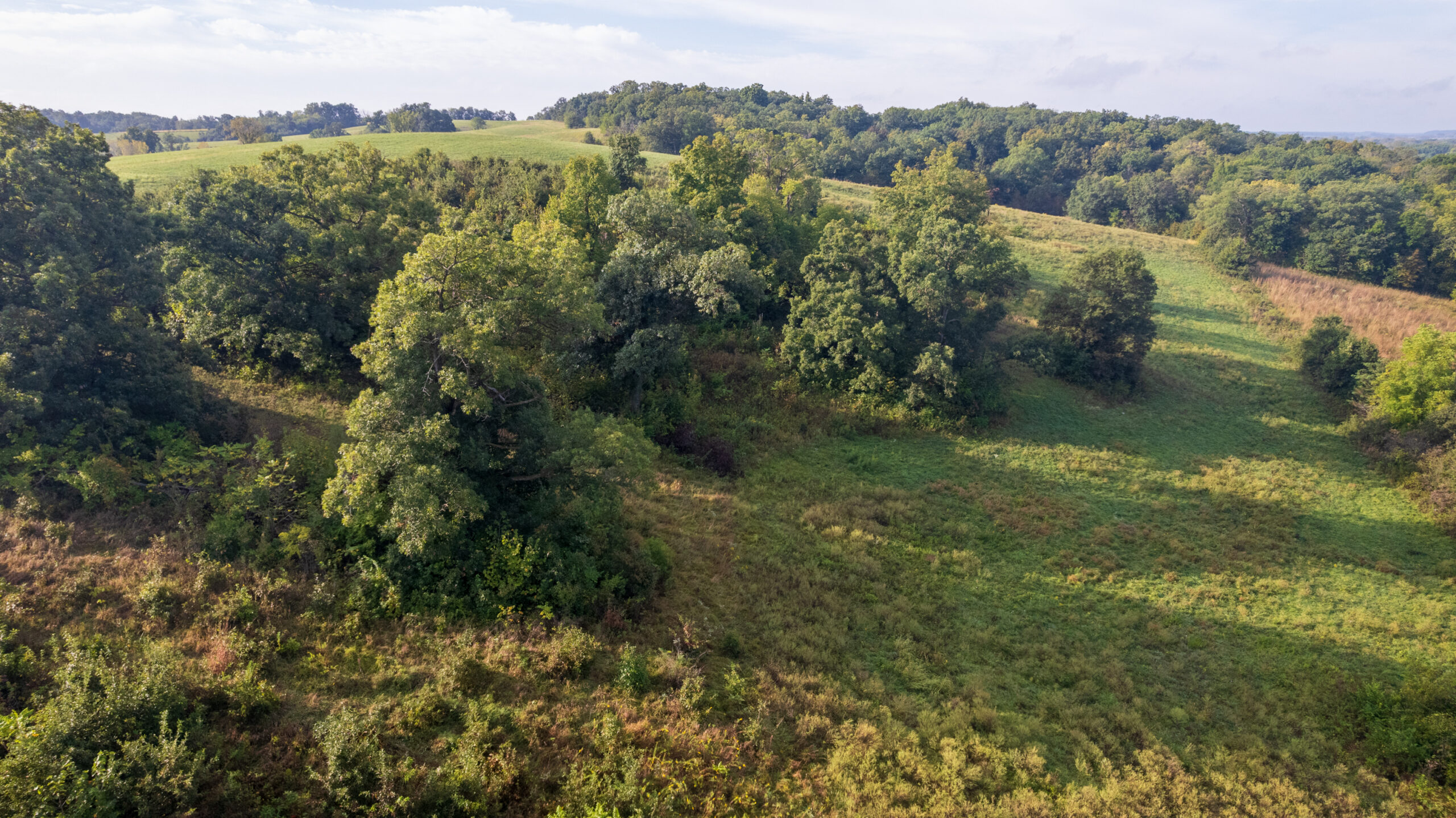 195+/- Monroe County, Iowa Hunting & Investment Farm with CRP, Hay, and Recreational Opportunity