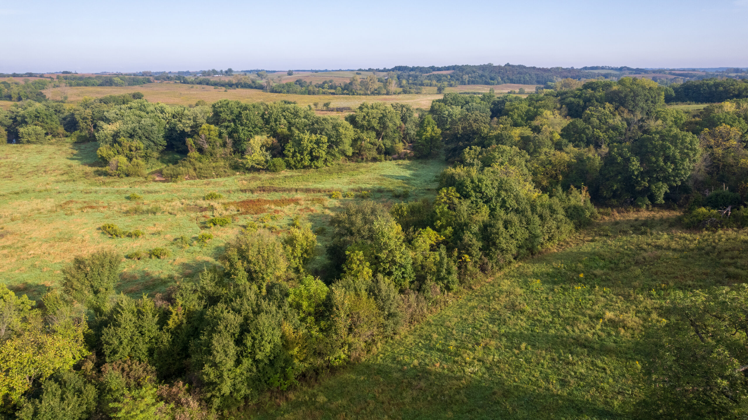195+/- Monroe County, Iowa Hunting & Investment Farm with CRP, Hay, and Recreational Opportunity