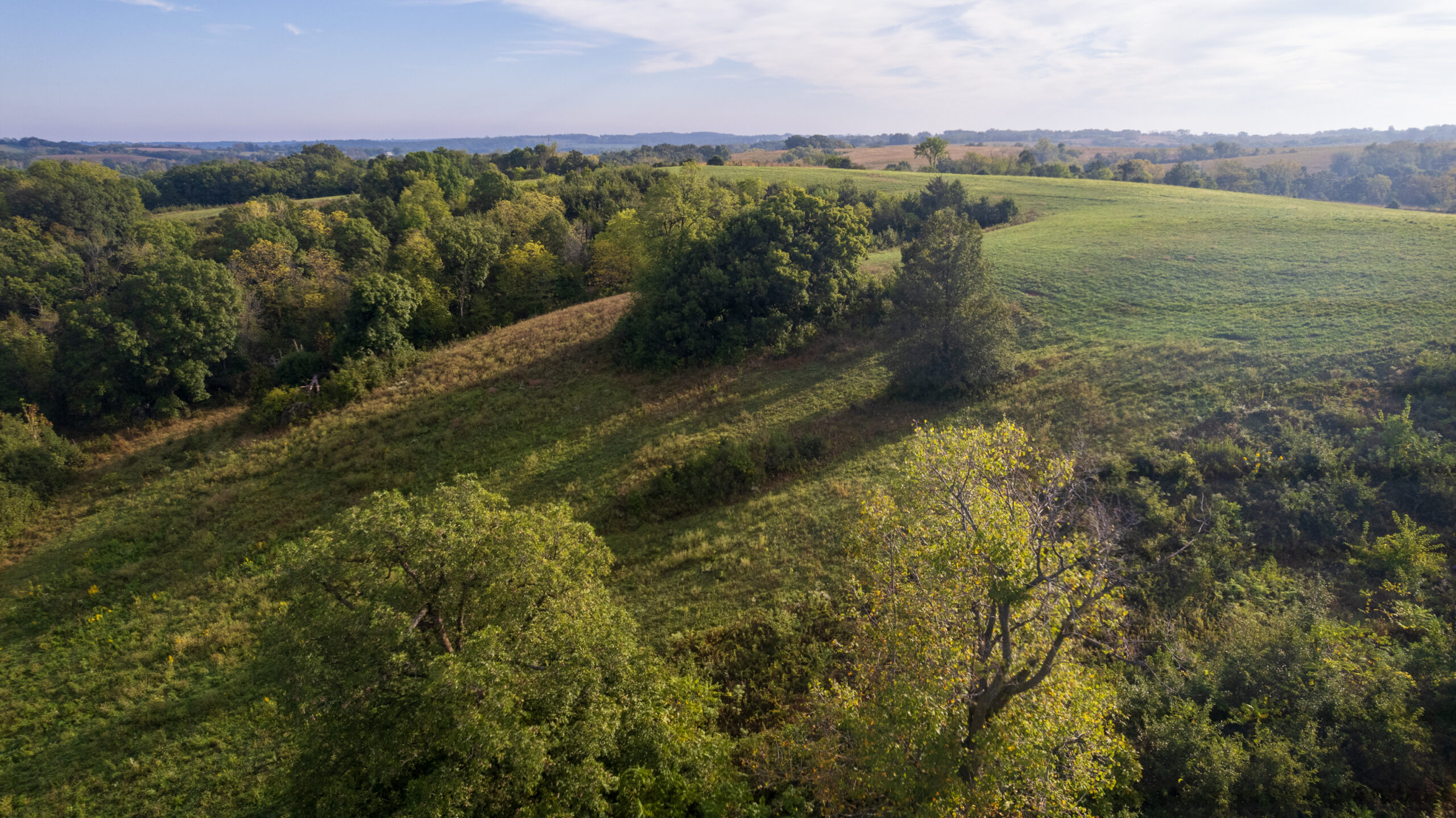 195+/- Monroe County, Iowa Hunting & Investment Farm with CRP, Hay, and Recreational Opportunity