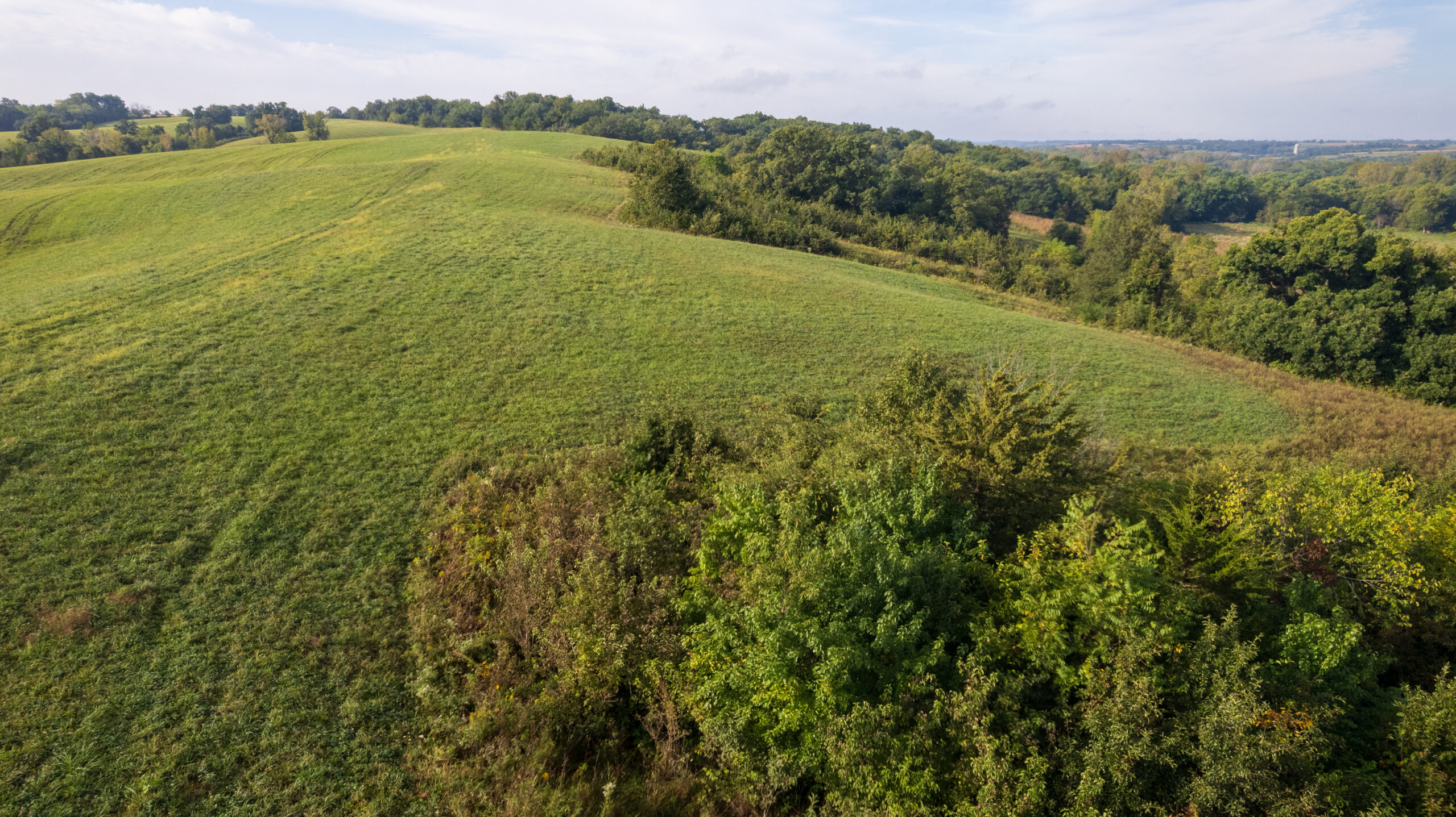 195+/- Monroe County, Iowa Hunting & Investment Farm with CRP, Hay, and Recreational Opportunity