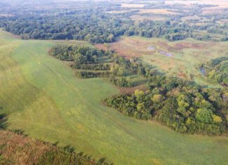 195+/- Monroe County, Iowa Hunting & Investment Farm with CRP, Hay, and Recreational Opportunity