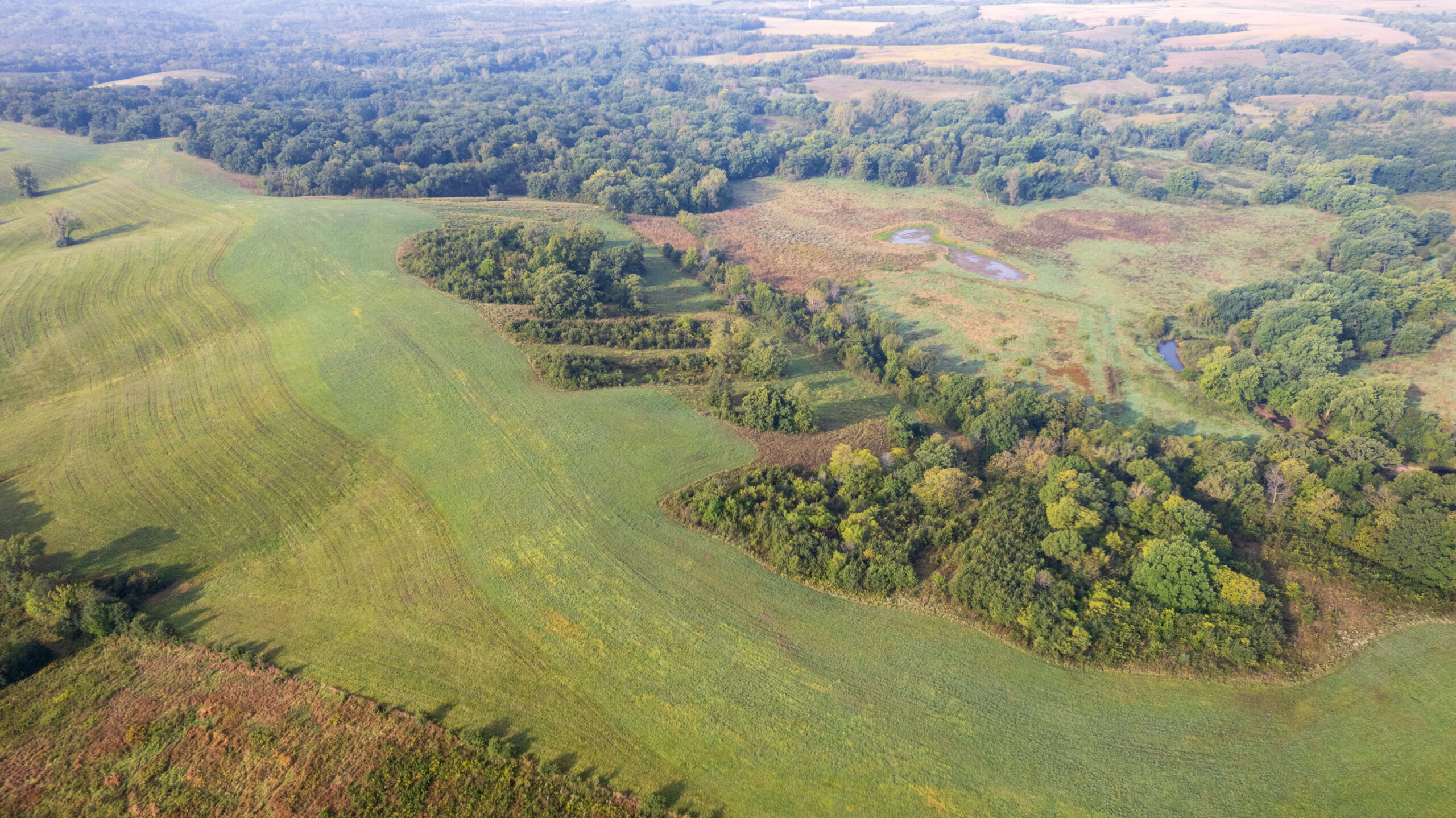 195+/- Monroe County, Iowa Hunting & Investment Farm with CRP, Hay, and Recreational Opportunity