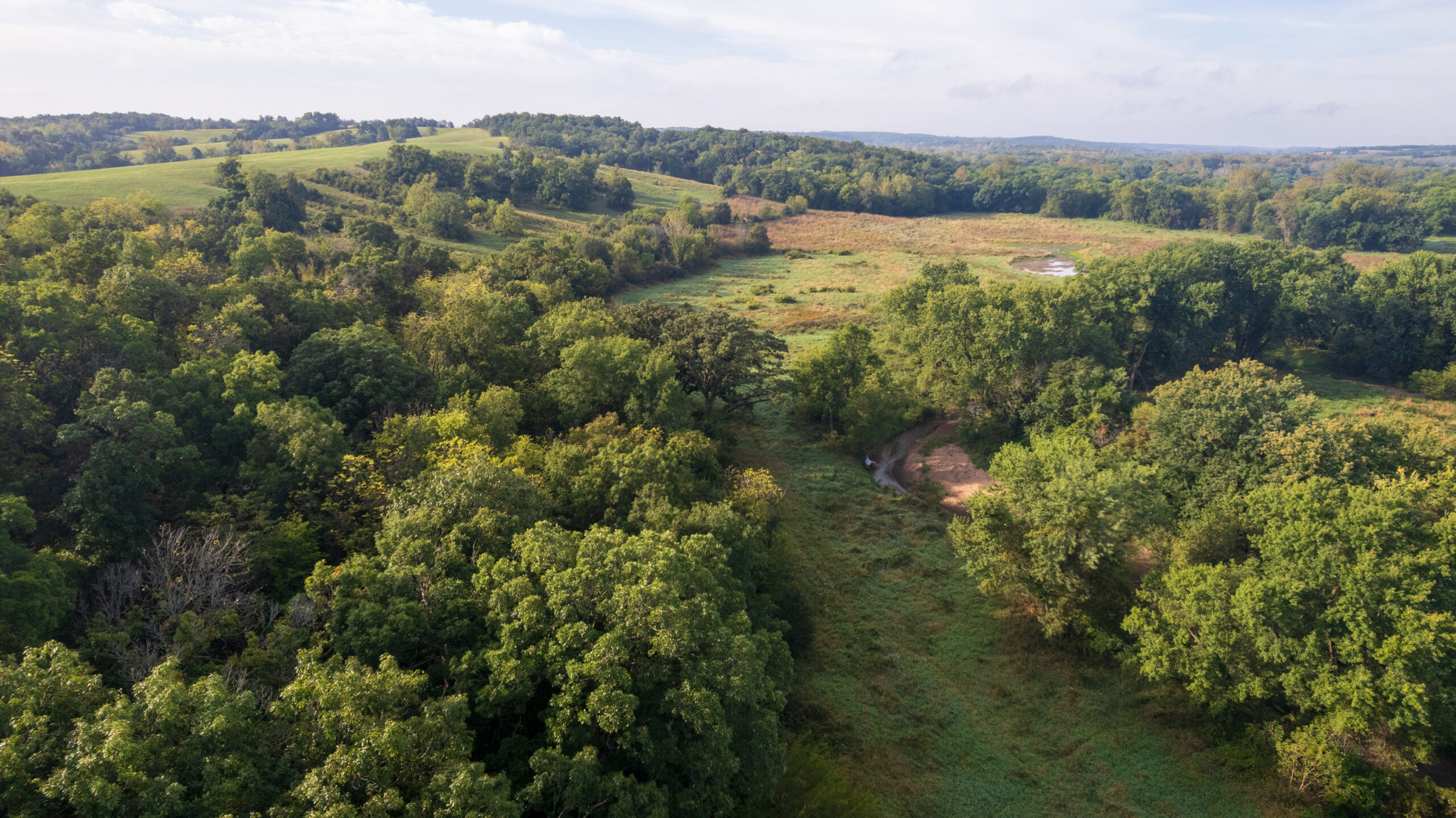 195+/- Monroe County, Iowa Hunting & Investment Farm with CRP, Hay, and Recreational Opportunity