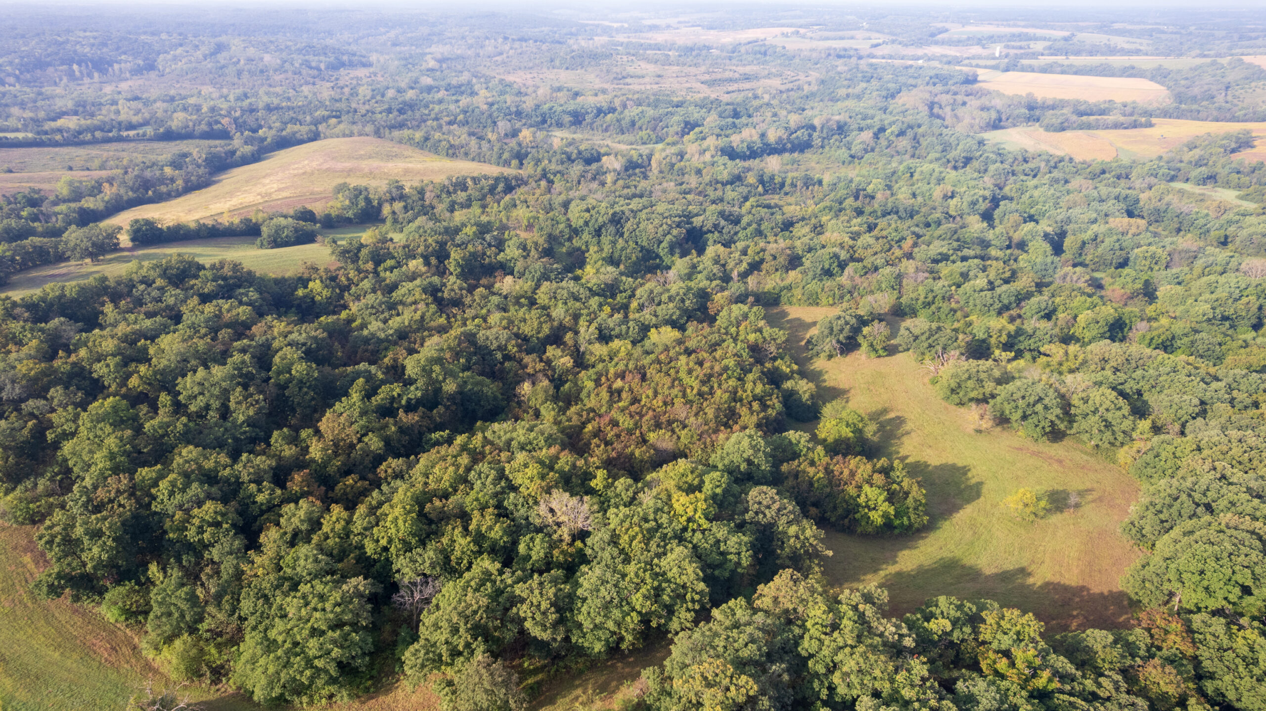 195+/- Monroe County, Iowa Hunting & Investment Farm with CRP, Hay, and Recreational Opportunity