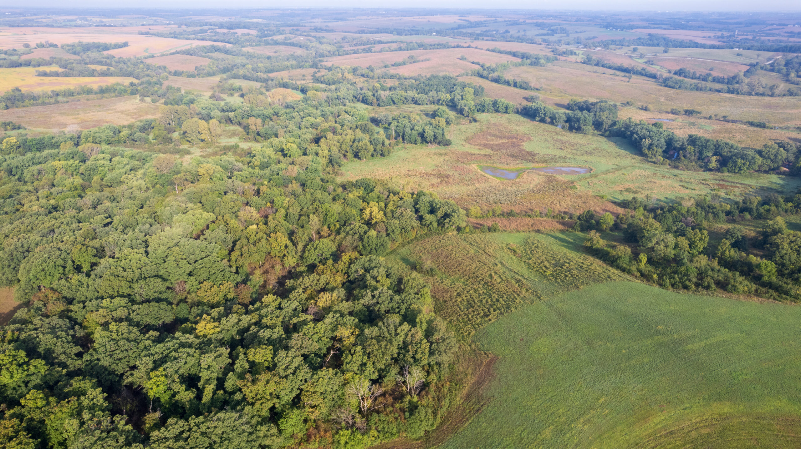 195+/- Monroe County, Iowa Hunting & Investment Farm with CRP, Hay, and Recreational Opportunity
